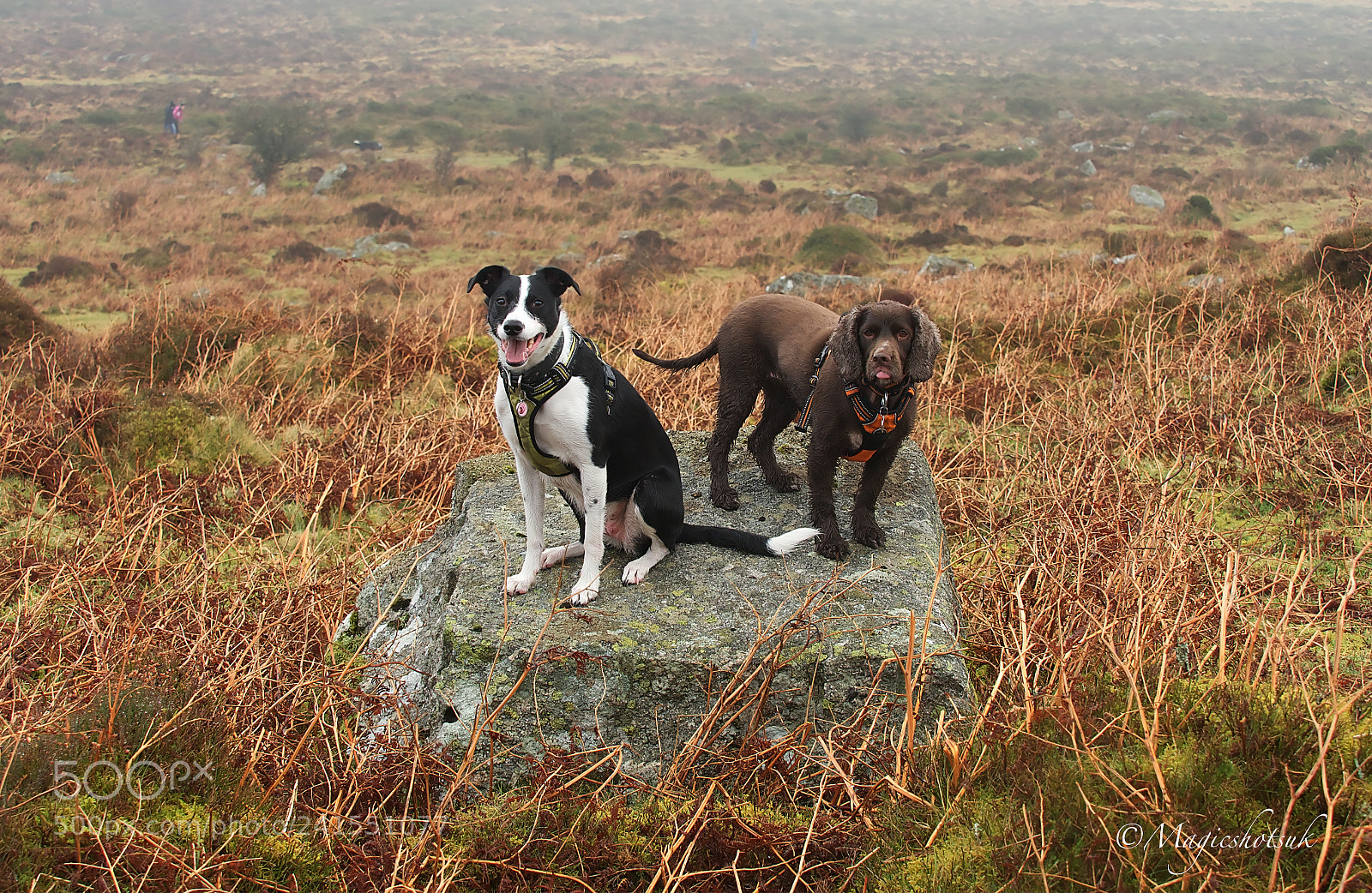Olympus OM-D E-M1 Mark II sample photo. Fun on the moors photography