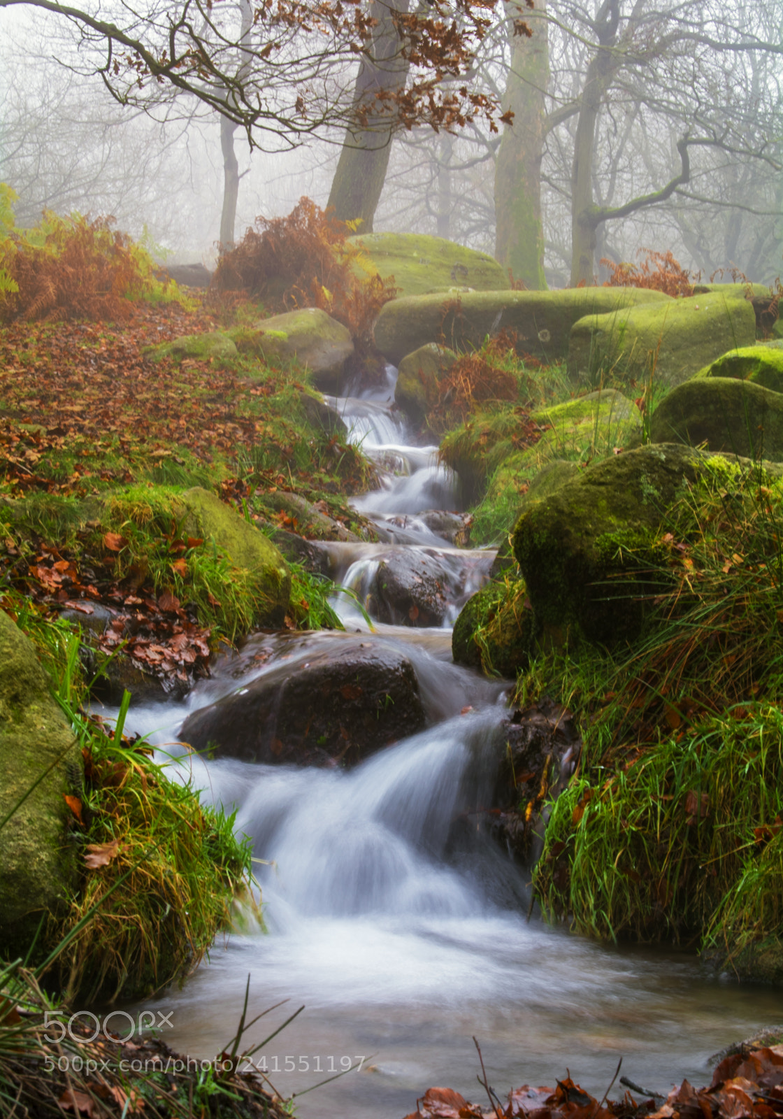 Nikon D7100 sample photo. Padley gorge, derbyshire, uk photography