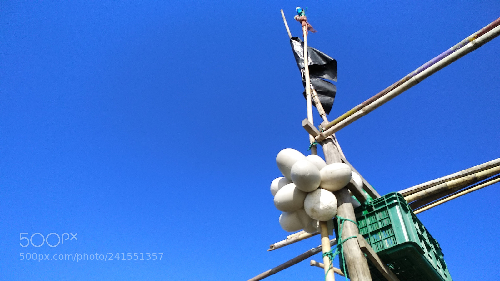 Xiaomi MI MAX 2 sample photo. Untitled photography