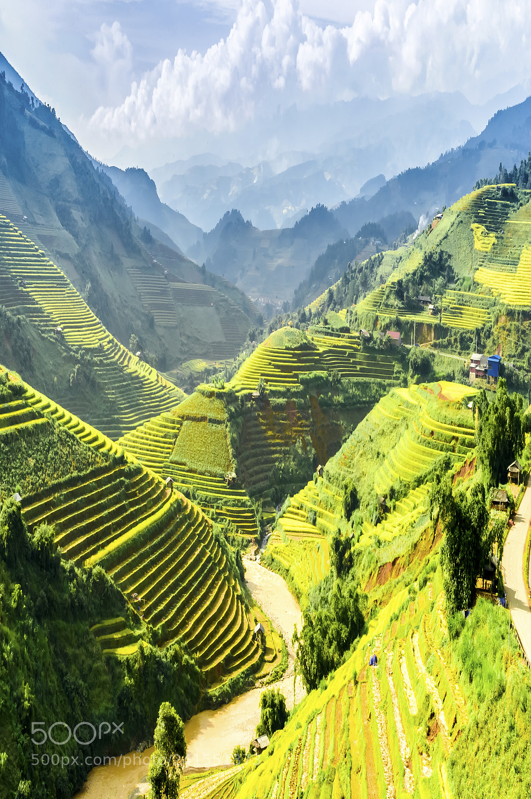 Nikon Df sample photo. Terraced fields (dsc8826) photography