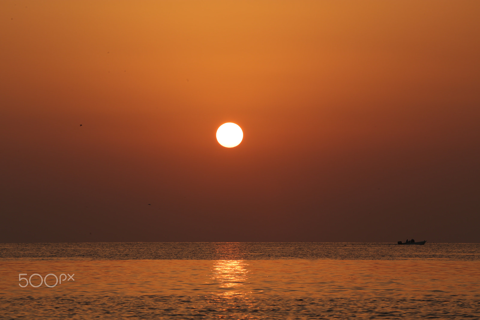 Canon EF 100-400mm F4.5-5.6L IS USM sample photo. Serenity photography