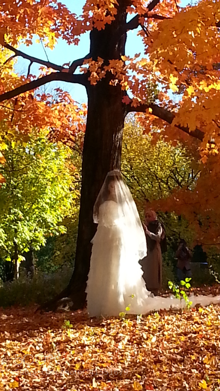 Samsung Galaxy S3 sample photo. Unveiling love photography