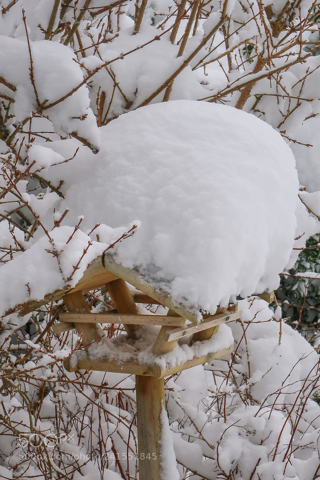 Canon PowerShot G7 X Mark II sample photo. The birdhouse is snowed photography