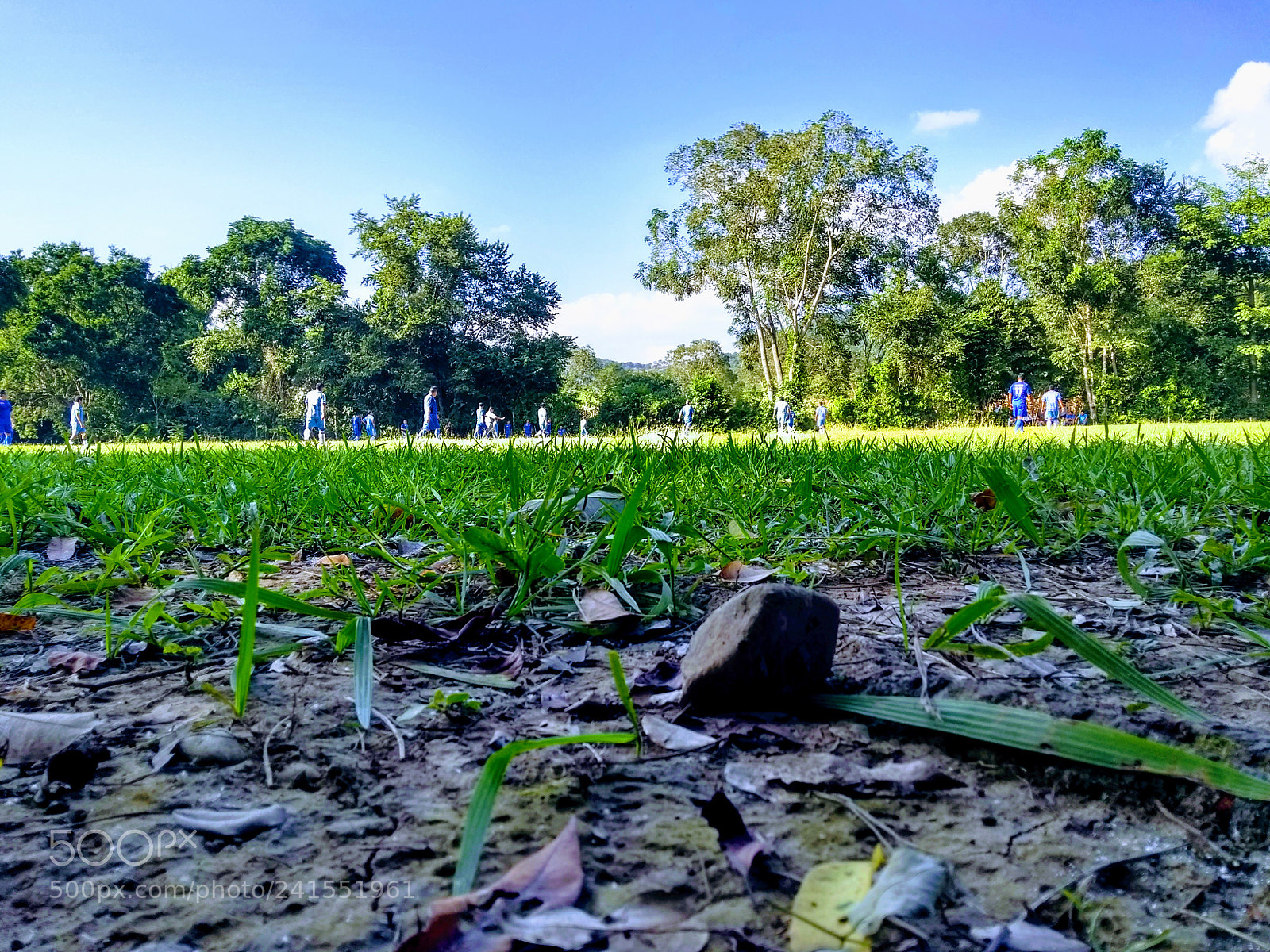 Motorola Moto G (5th Gen) sample photo. Untitled photography