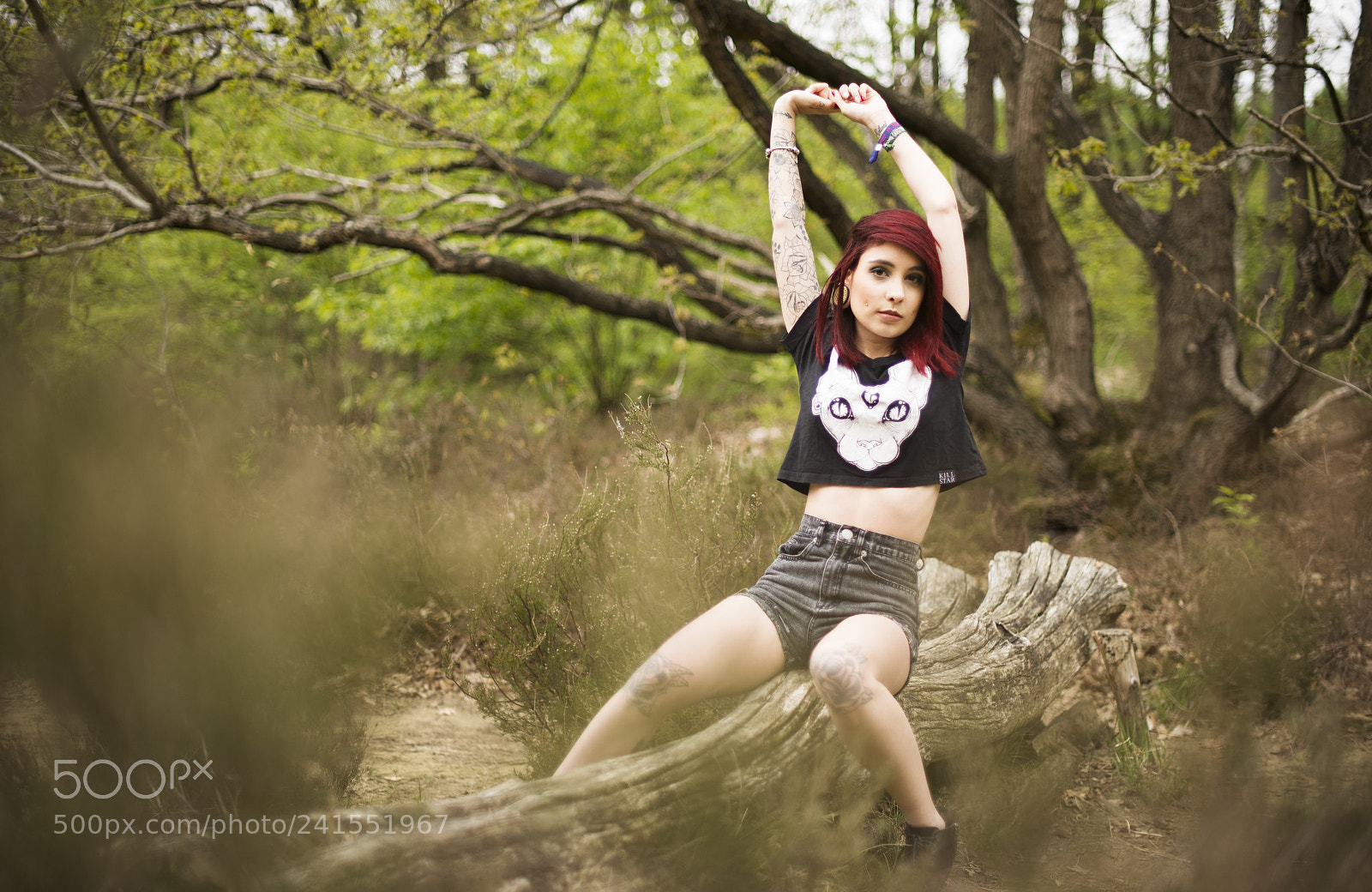 Nikon D600 sample photo. Aline photography