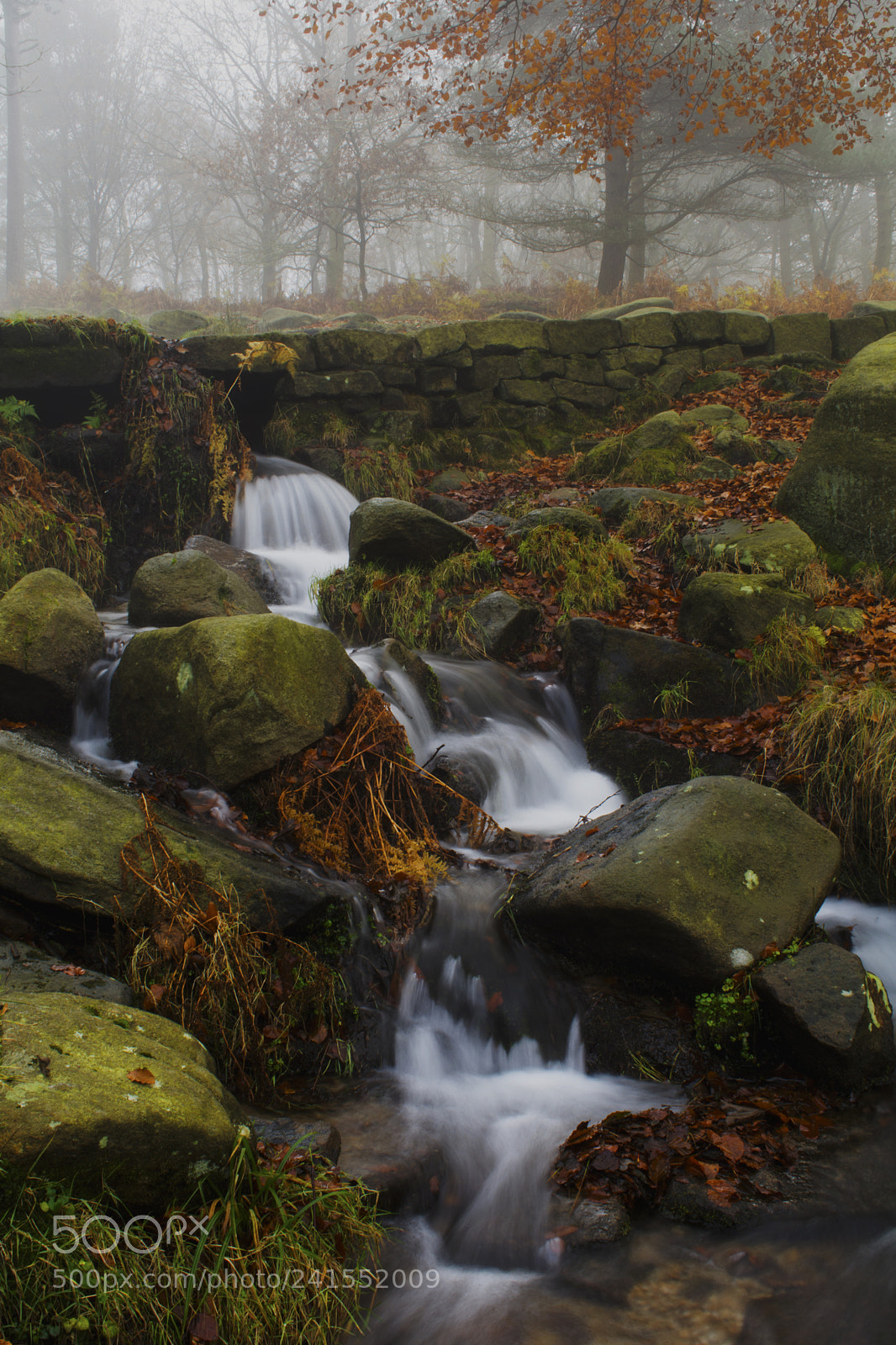 Nikon D7100 sample photo. Padley gorge, derbyshire, uk photography