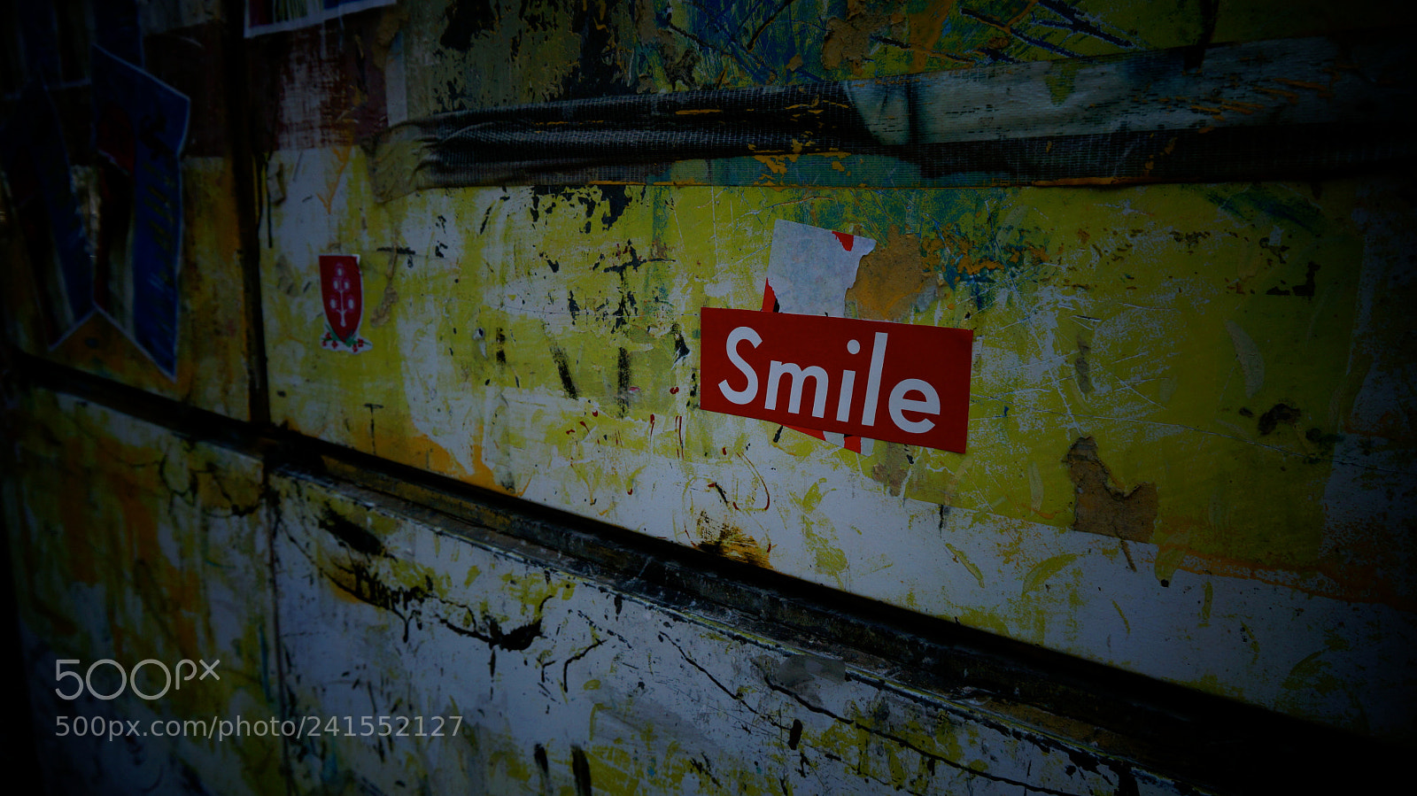 Sony Alpha NEX-3N sample photo. Smile, boston photography