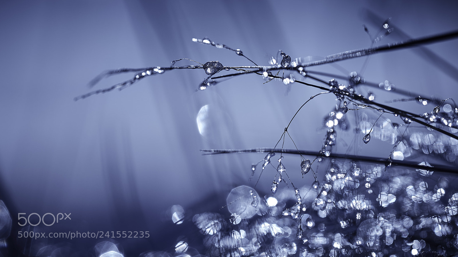 Nikon D800E sample photo. Frozen unobtanium photography