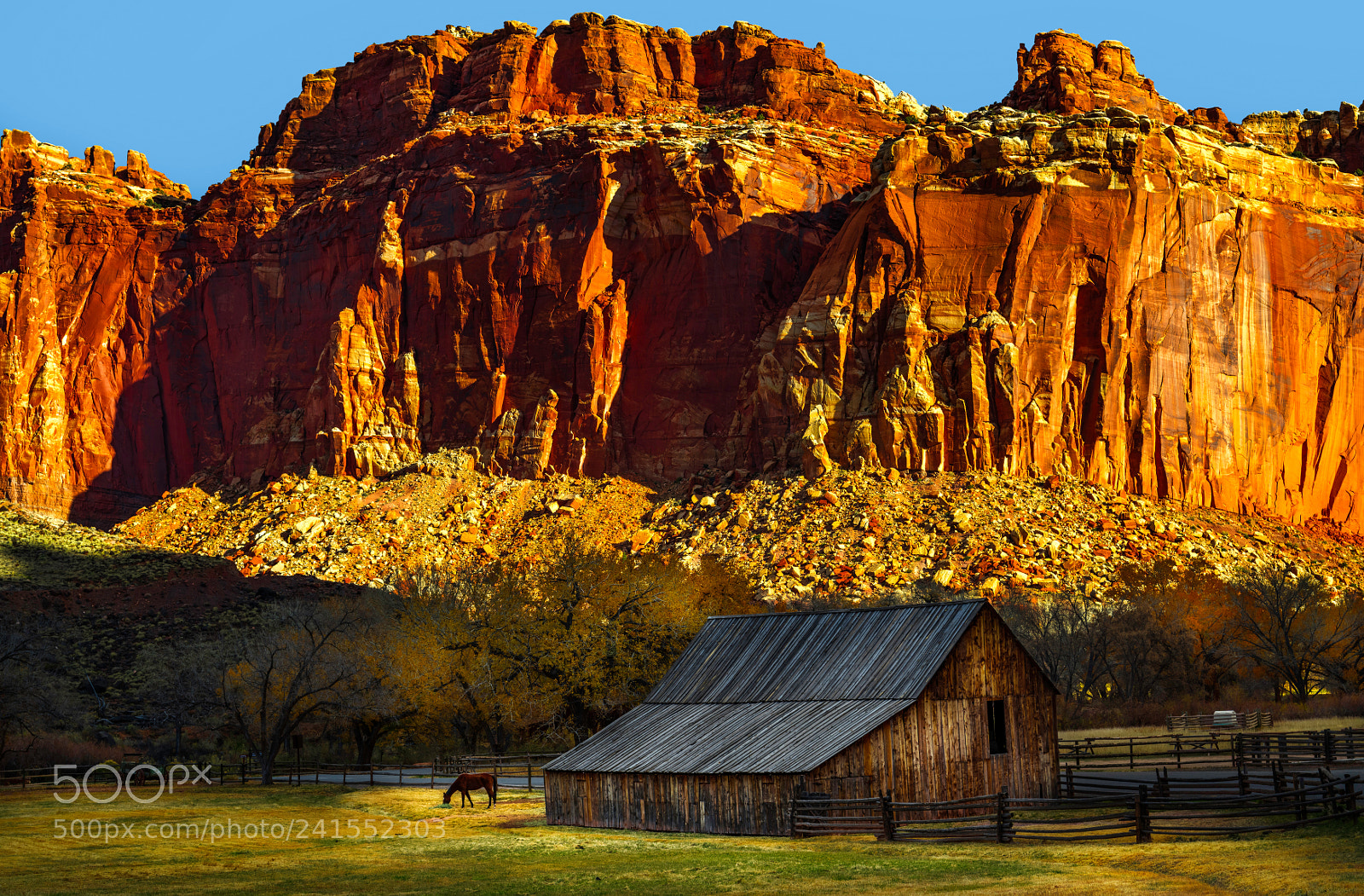 Nikon D850 sample photo. Capitol reef national park photography