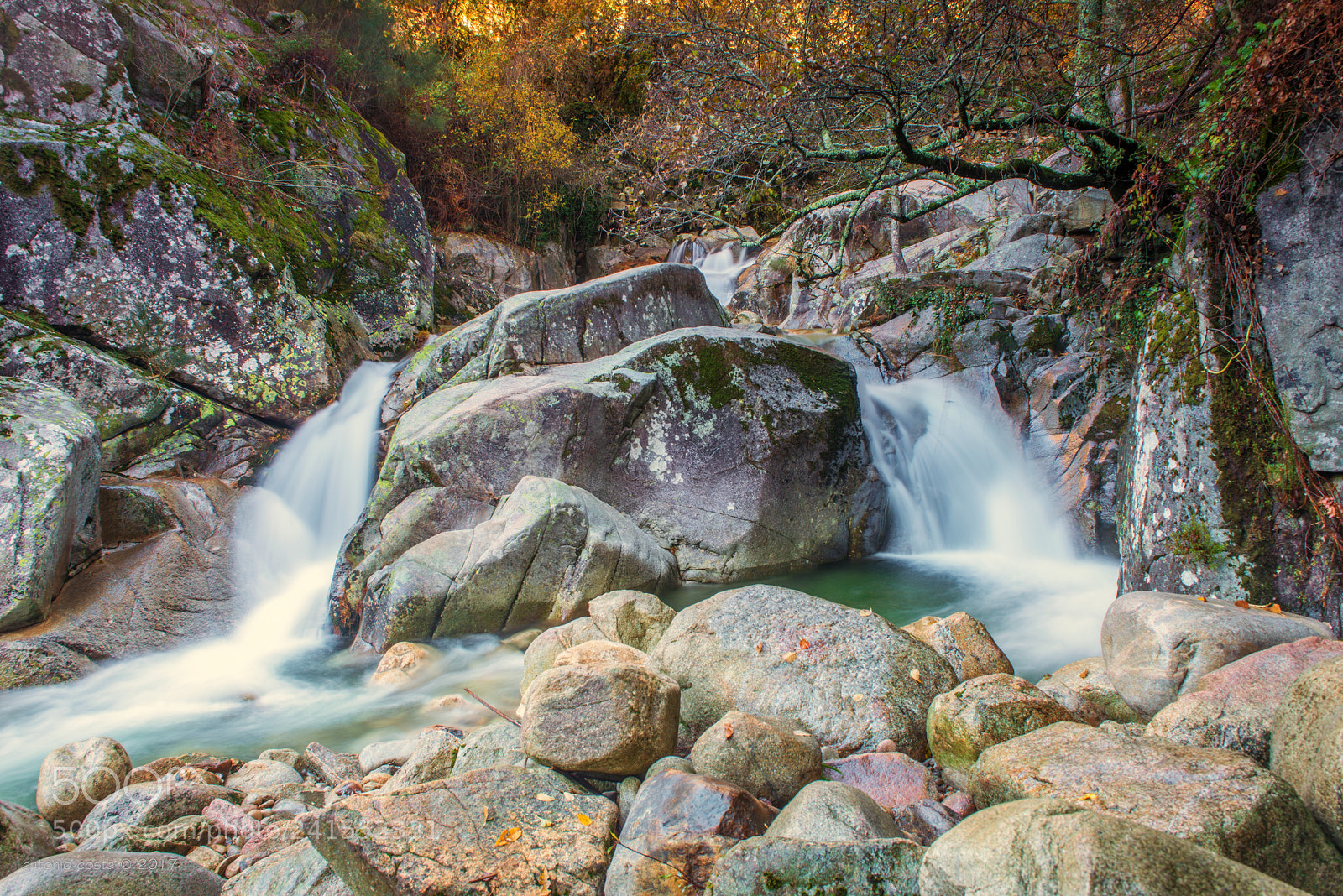 Nikon D600 sample photo. Divided water photography