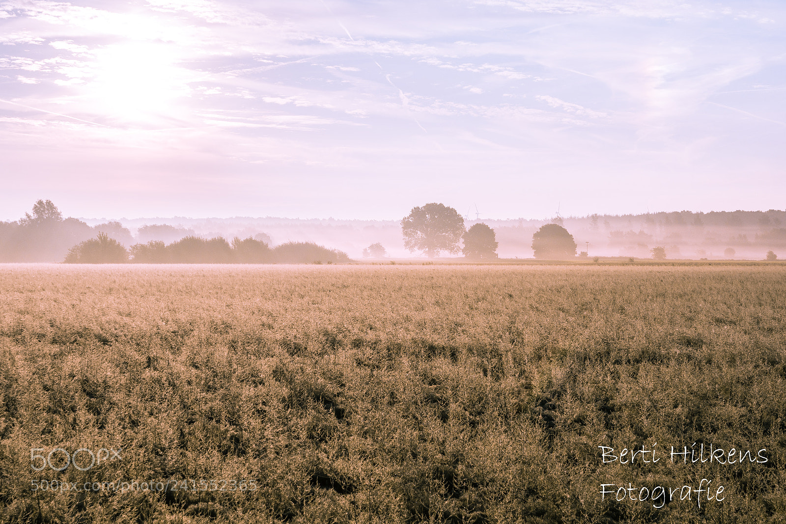 Nikon D7100 sample photo. A beautiful morning in photography