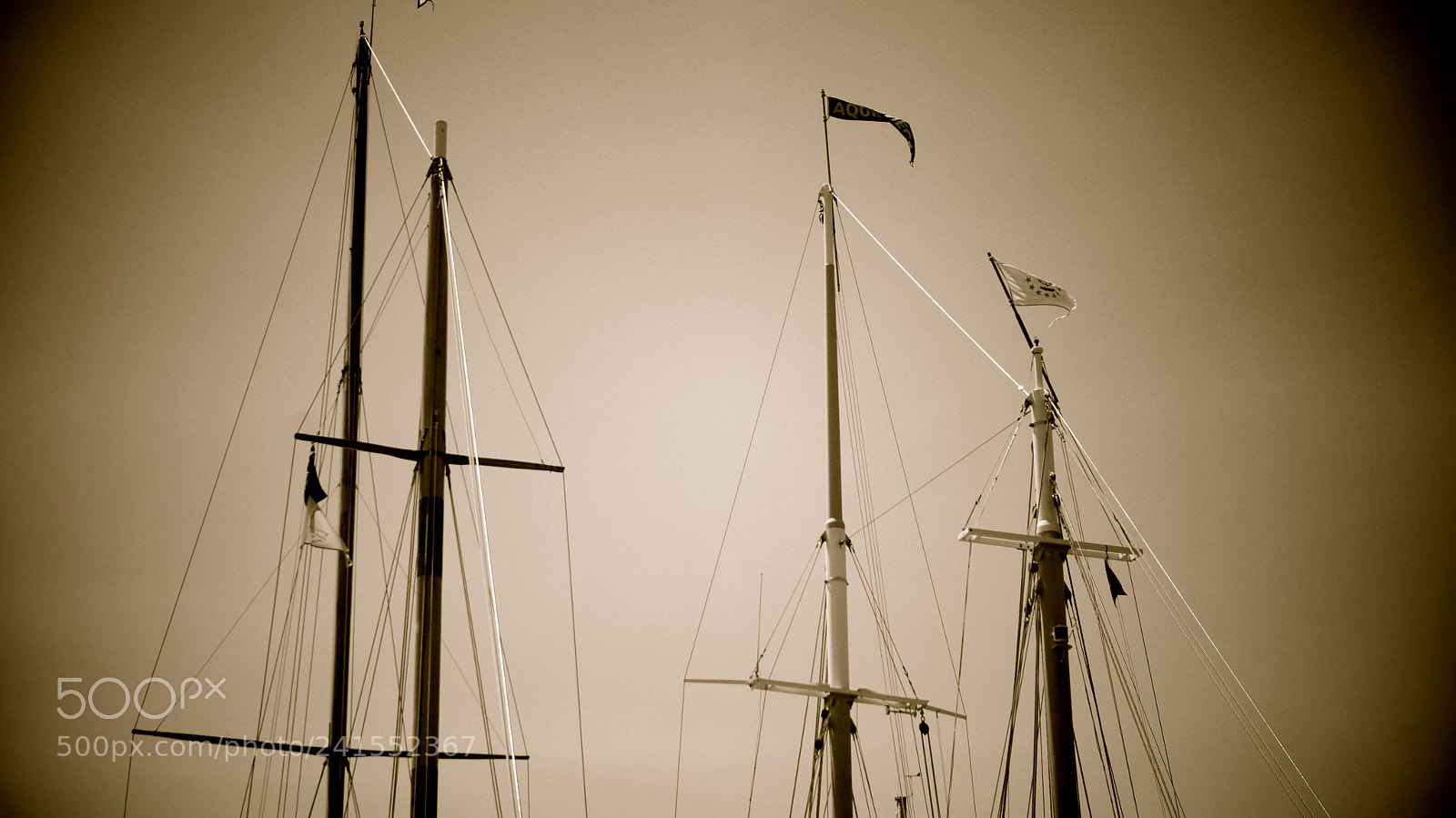Sony Alpha NEX-3N sample photo. Masts of mass photography