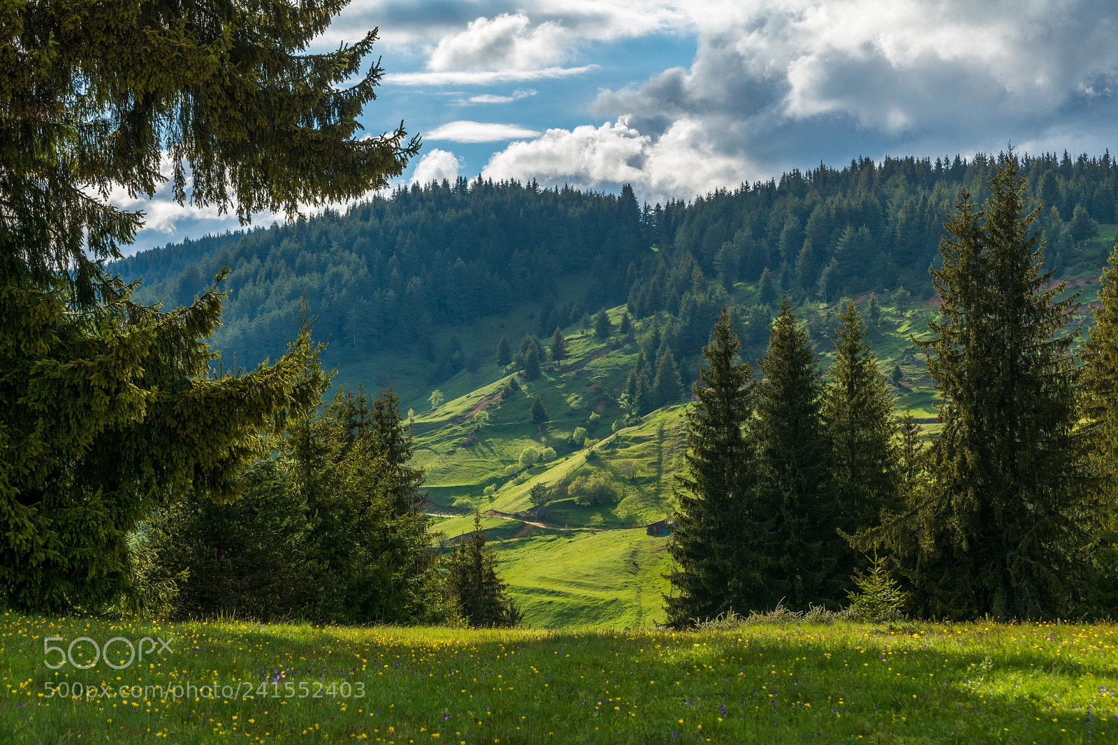 Nikon D7100 sample photo. Rodopi mountain photography