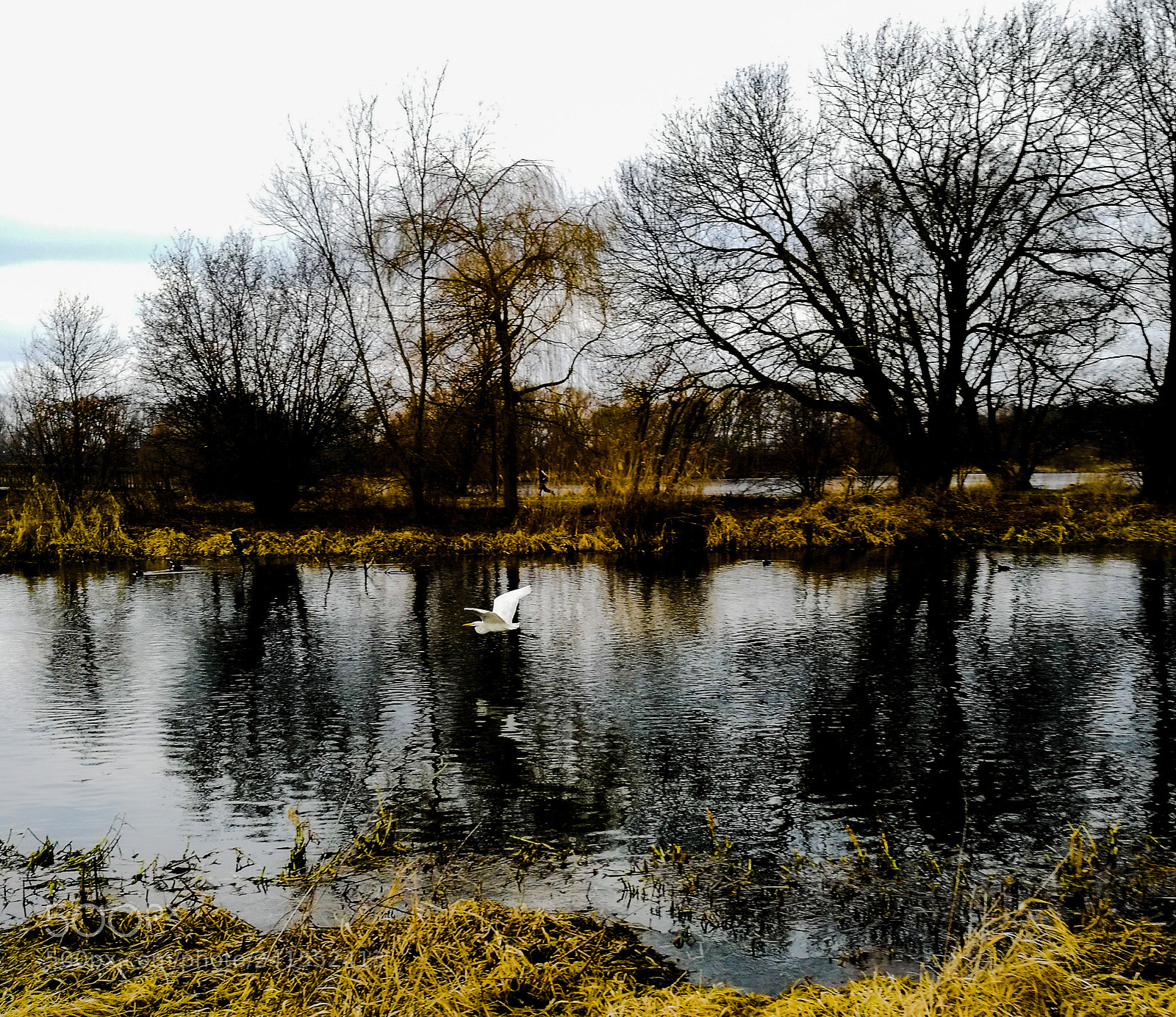 HUAWEI P9 sample photo. Fly by photography