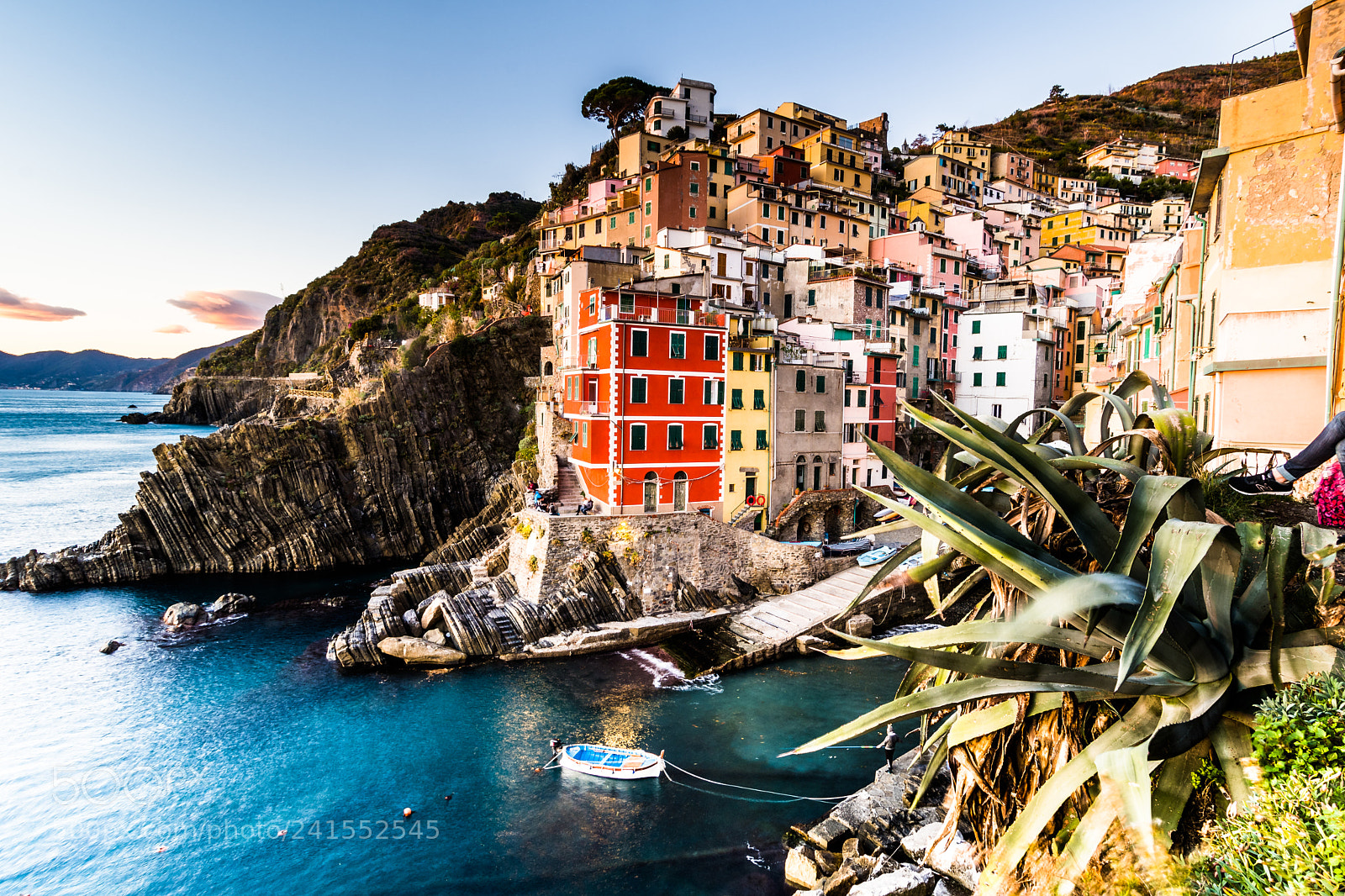 Nikon D500 sample photo. Riomaggiore at the cinque photography