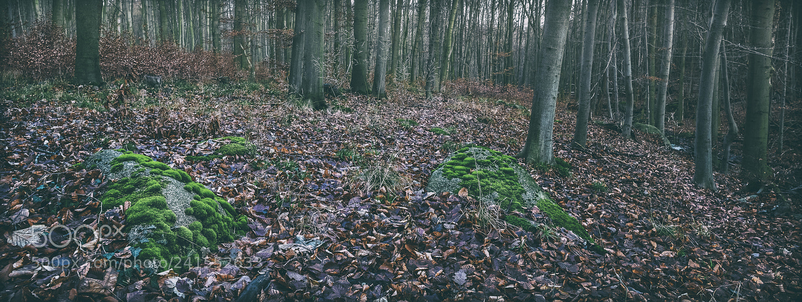 Nikon D810 sample photo. Isles photography