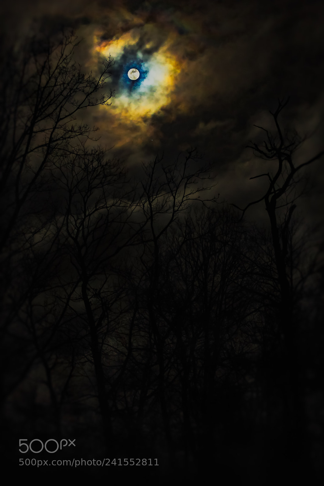 Canon EOS 1200D (EOS Rebel T5 / EOS Kiss X70 / EOS Hi) sample photo. Luna llena photography