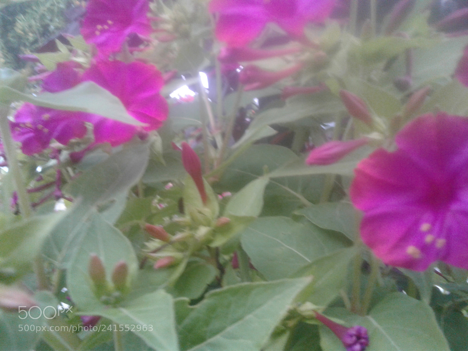 Samsung Galaxy J2 sample photo. Untitled photography