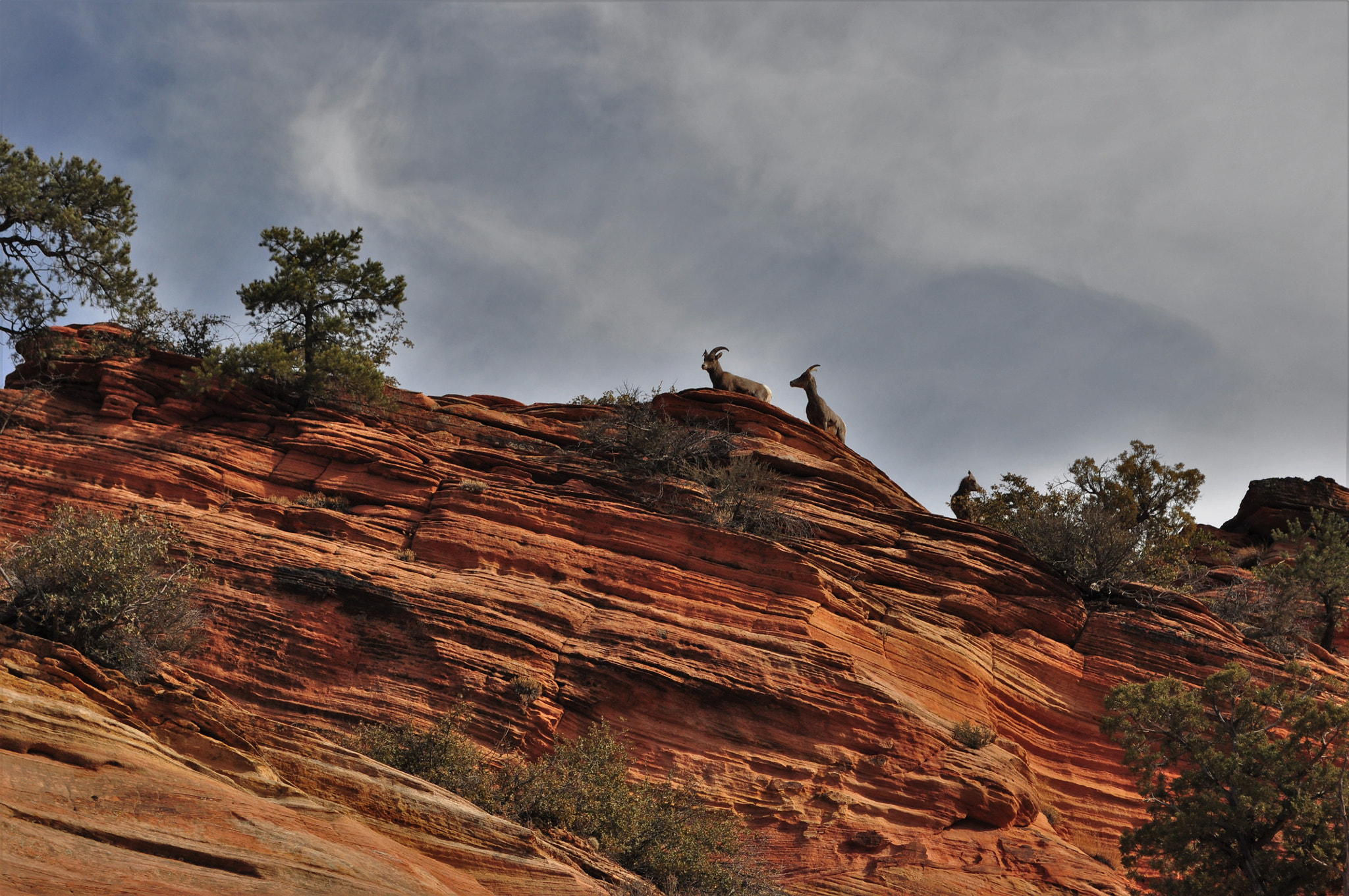 Nikon D90 sample photo. Far and above photography
