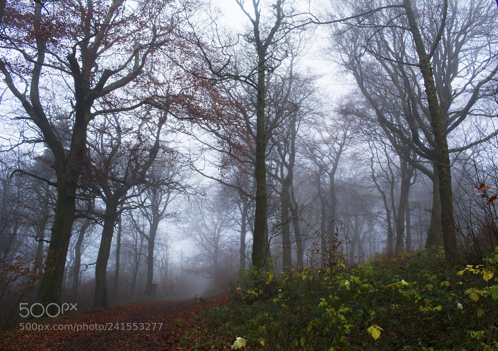 Nikon D7100 sample photo. Foggy scenery, peak district photography