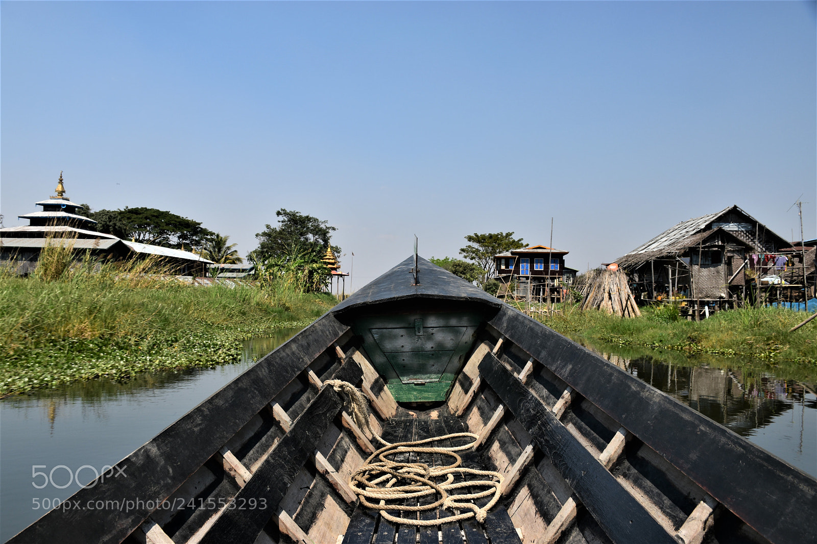 Nikon D5500 sample photo. Looking forward photography