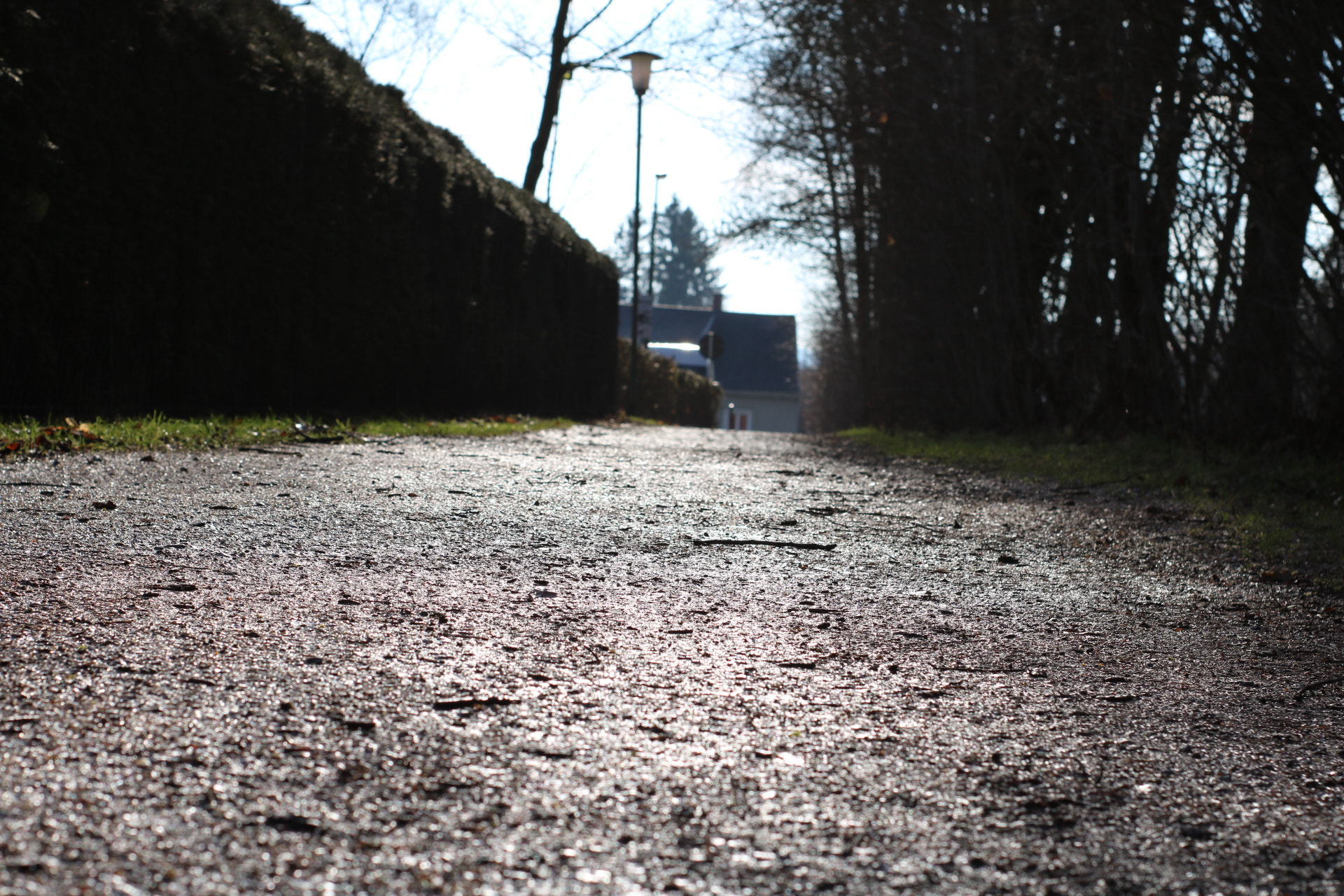 Canon 50mm sample photo. The way to the railway station photography