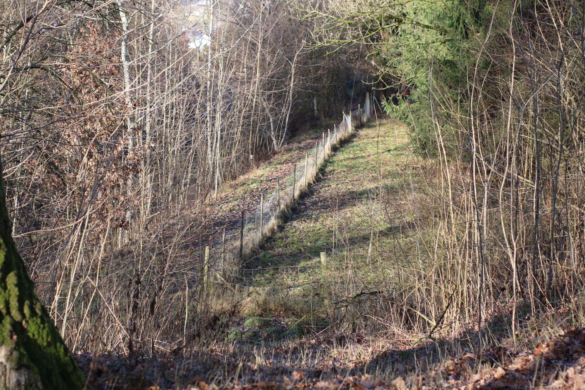 Canon 50mm sample photo. Old fence photography