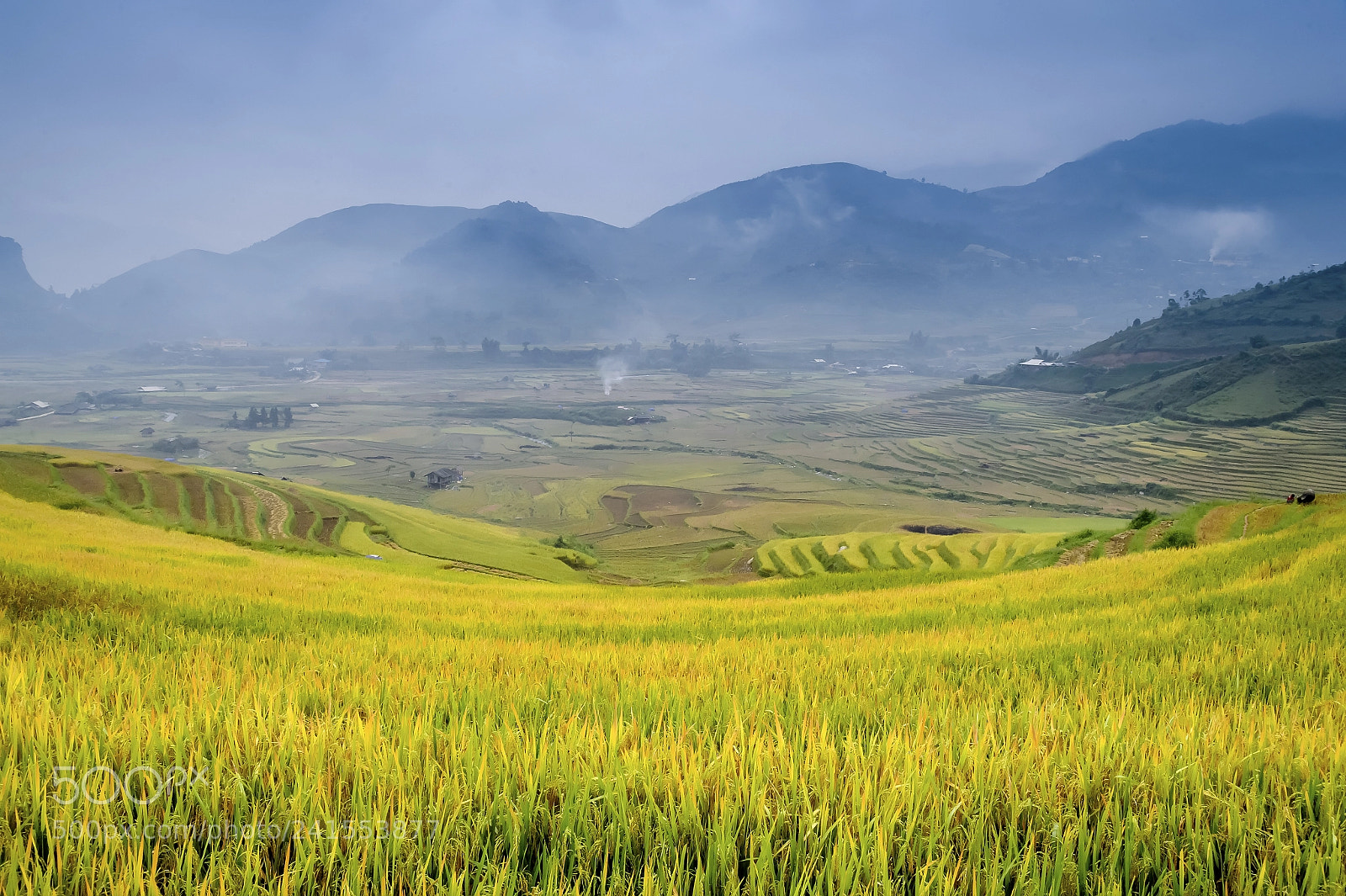 Nikon Df sample photo. Tule valley (dsc8370) photography
