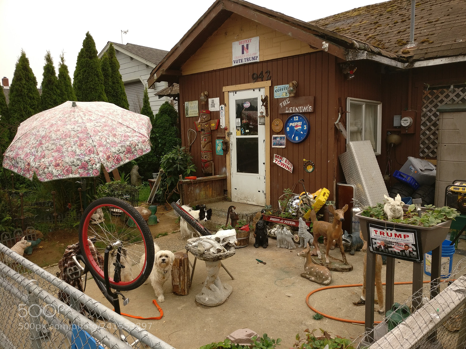 OnePlus A3003 sample photo. Trump lover, oregon photography