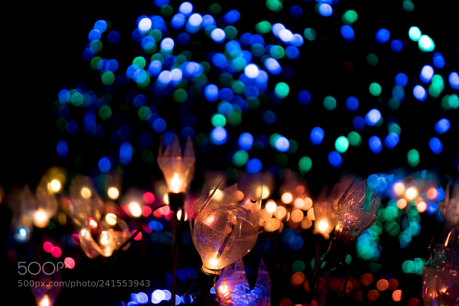 Sony a99 II sample photo. Van dussen christmas lights photography