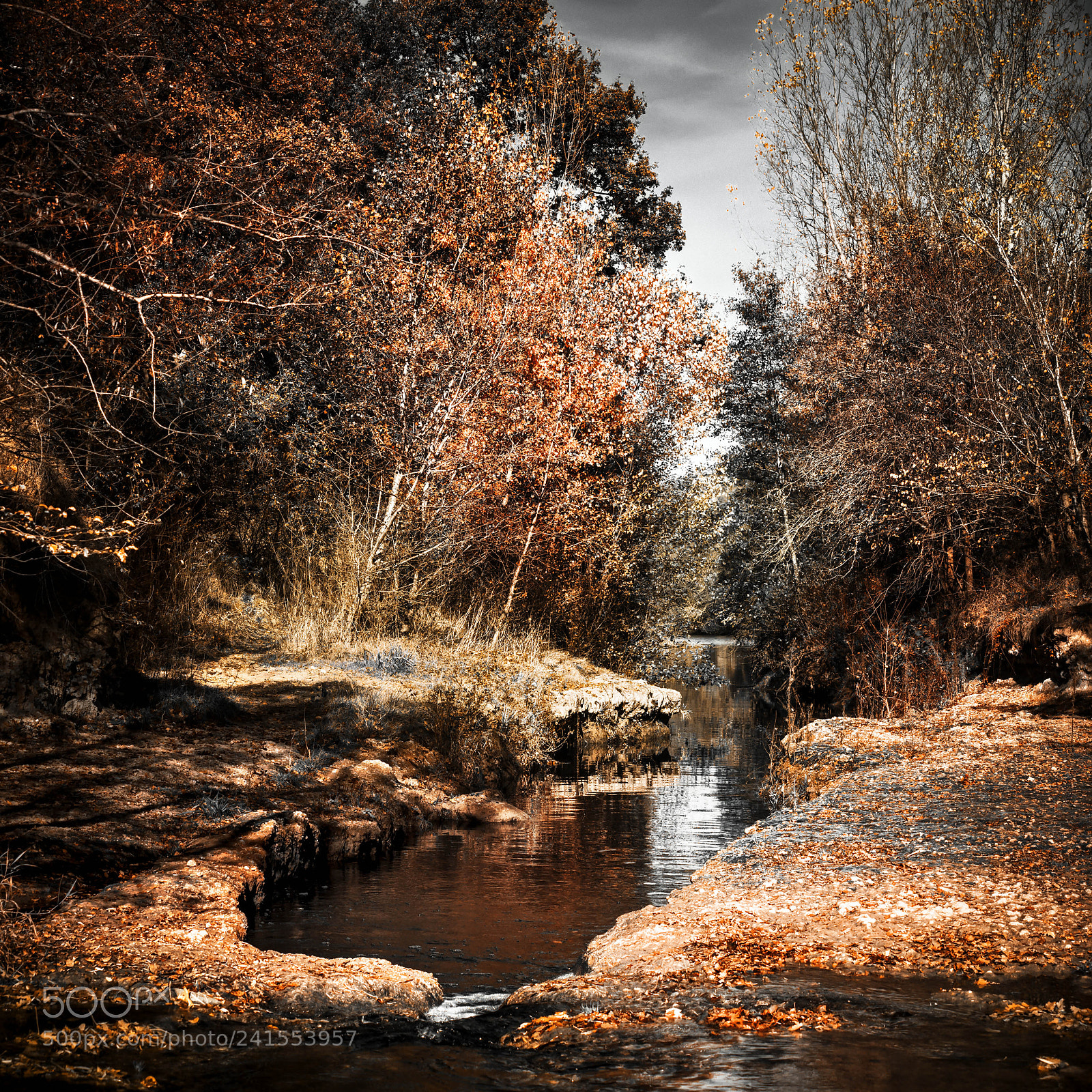 Nikon D7200 sample photo. End of eden photography