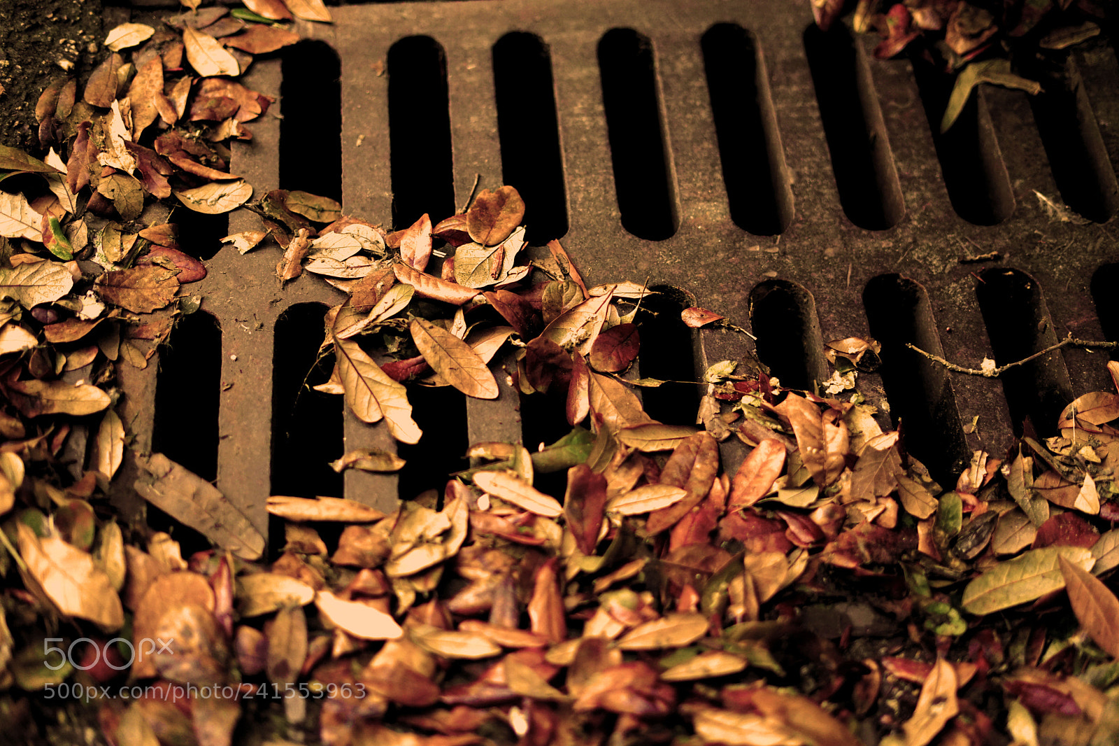 Sony a7 II sample photo. Falling photography