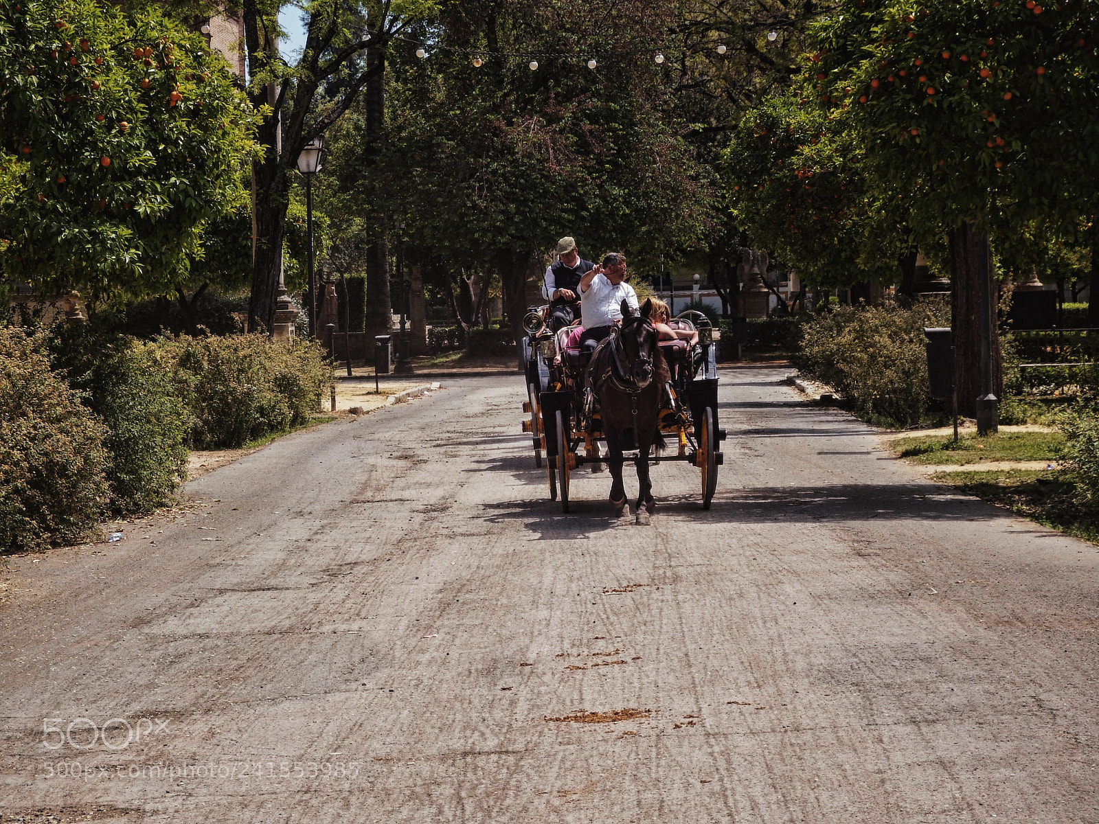 Fujifilm FinePix SL1000 sample photo. Horse photography
