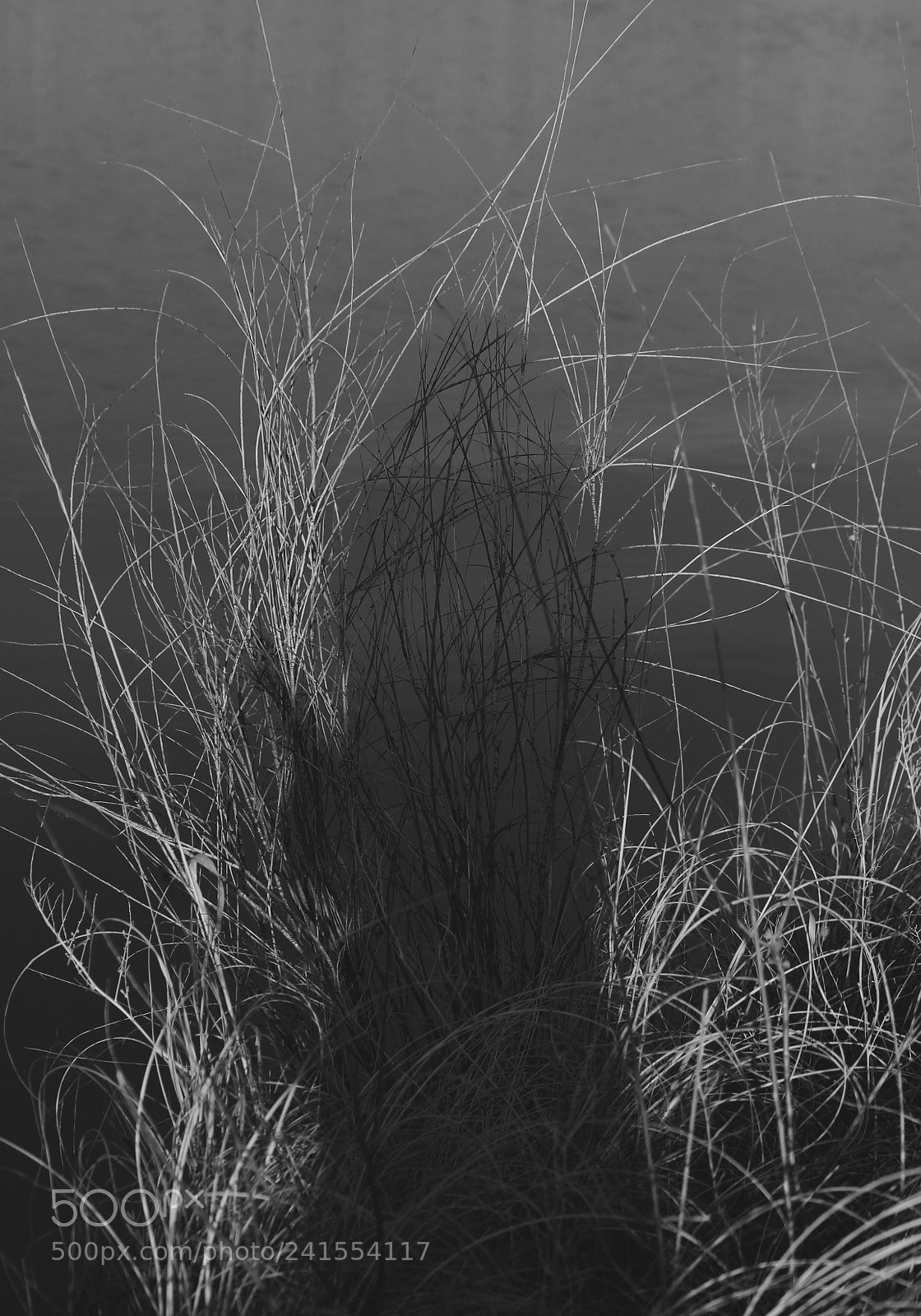 Canon EOS 100D (EOS Rebel SL1 / EOS Kiss X7) sample photo. Ghosts. photography