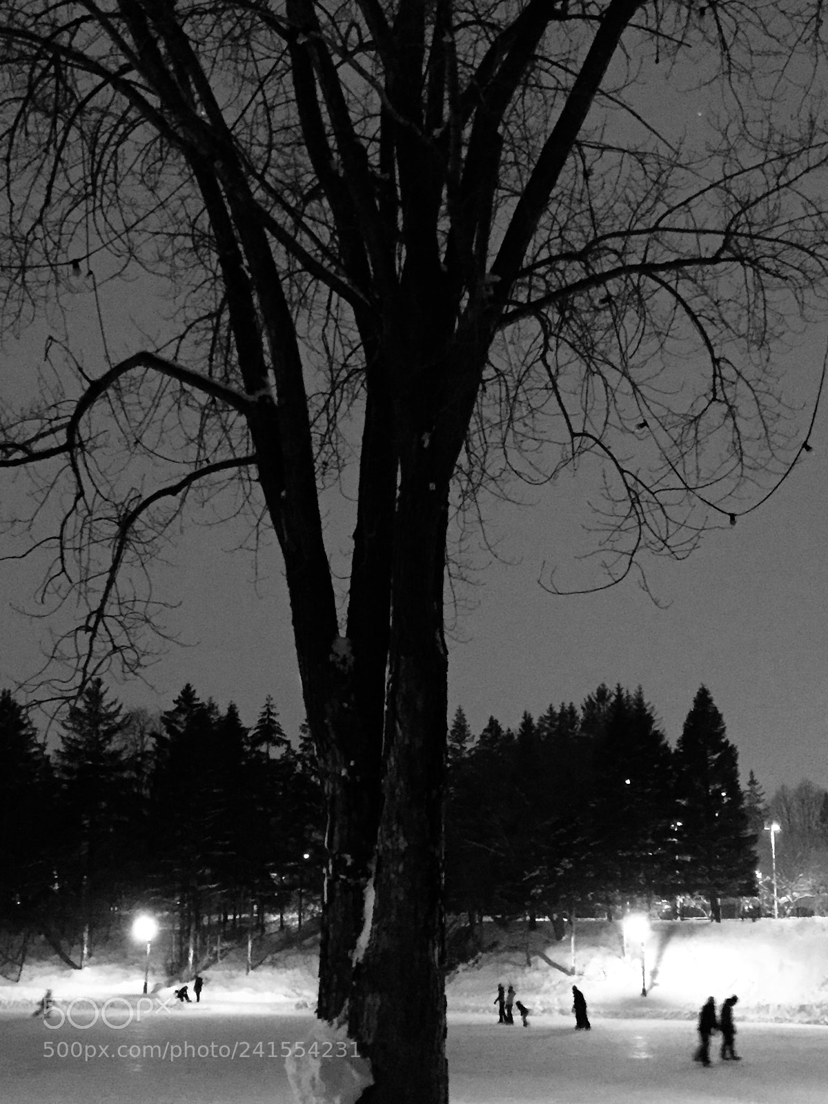 Apple iPhone 6 sample photo. Winter night photography