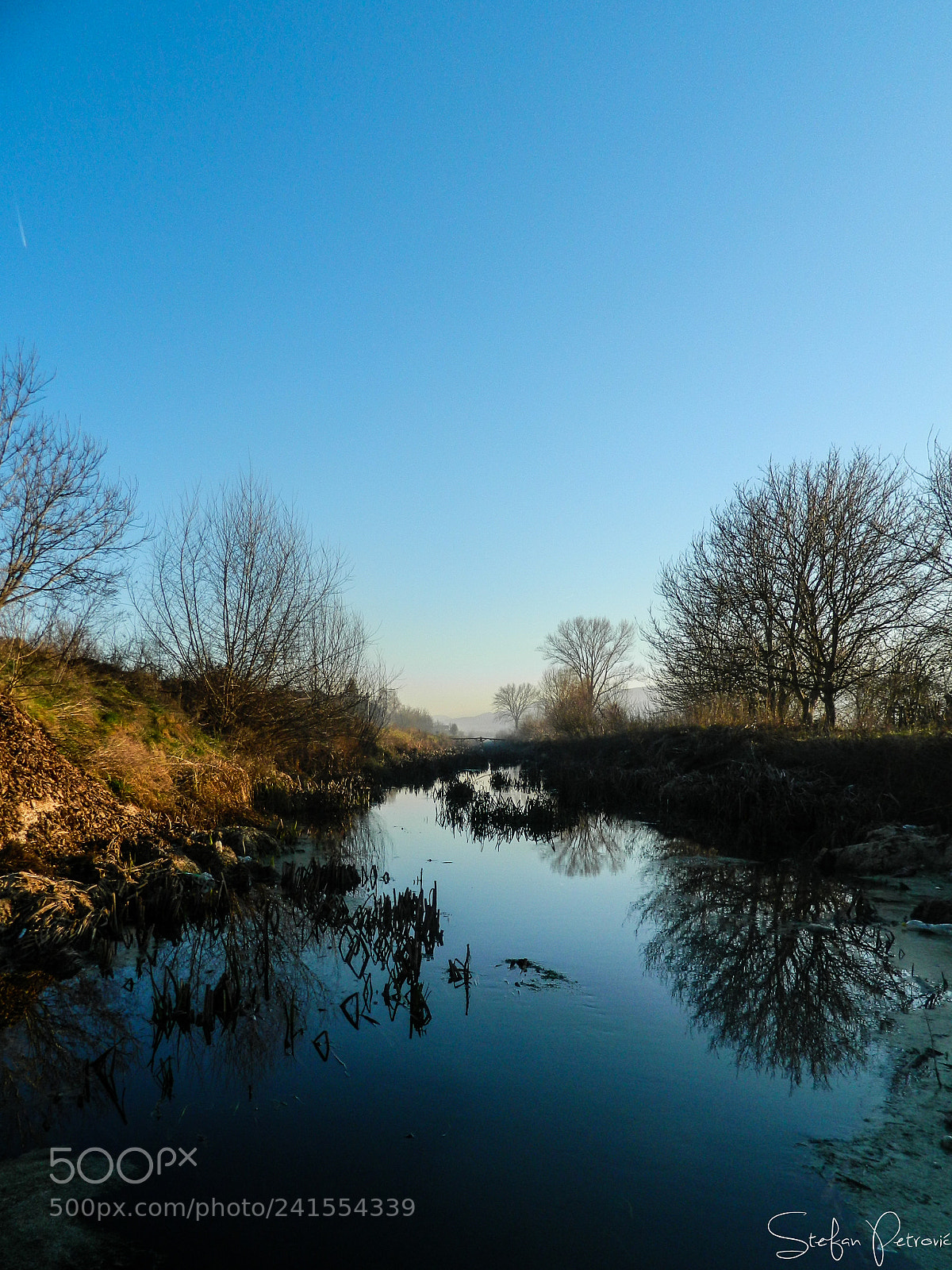 Nikon COOLPIX L310 sample photo. Swampland photography