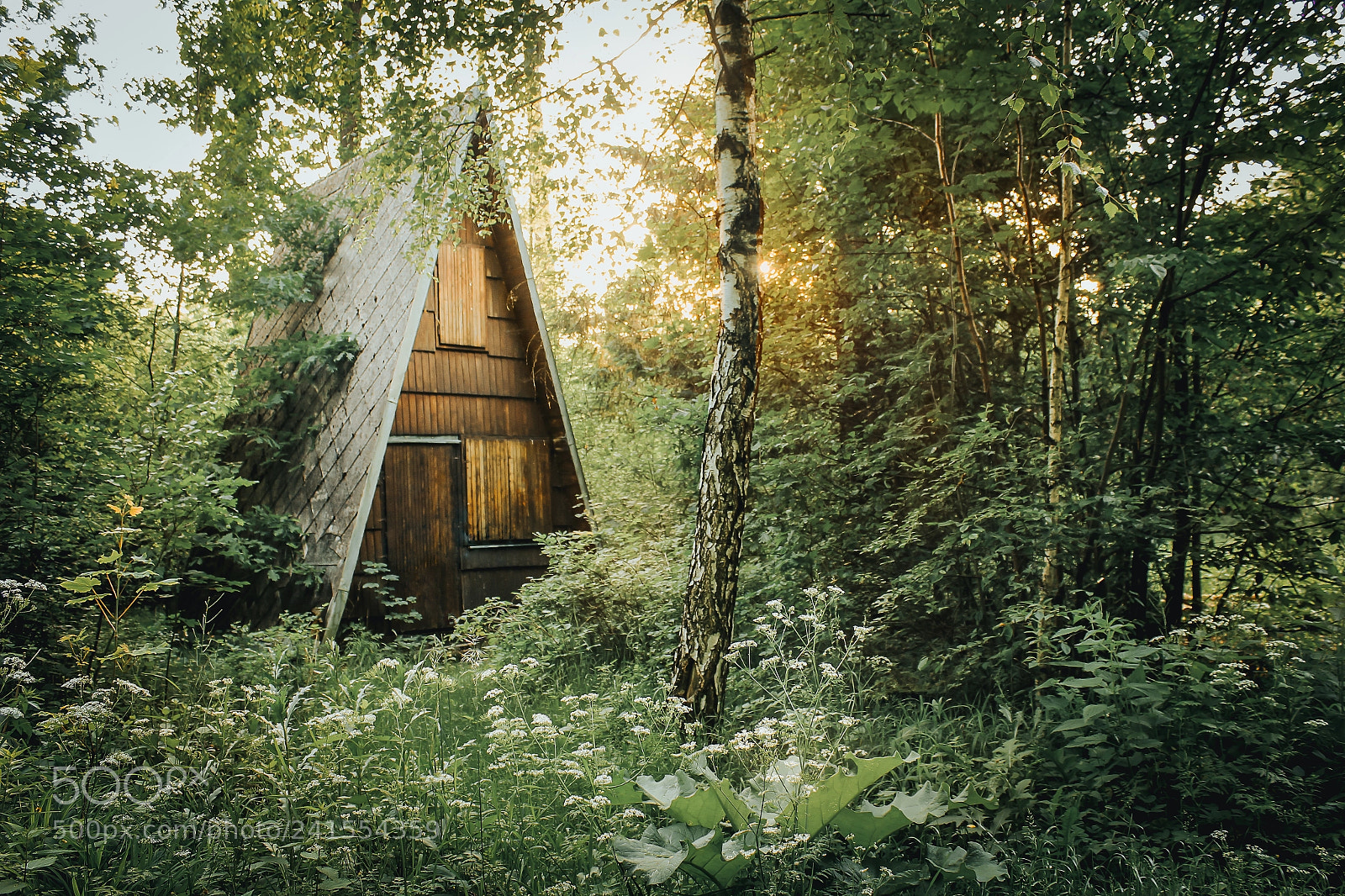 Canon EOS 60D sample photo. A frame cabin photography