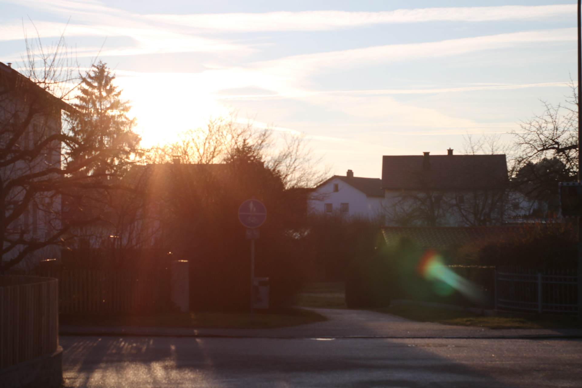 Canon 50mm sample photo. Sun . loved photography