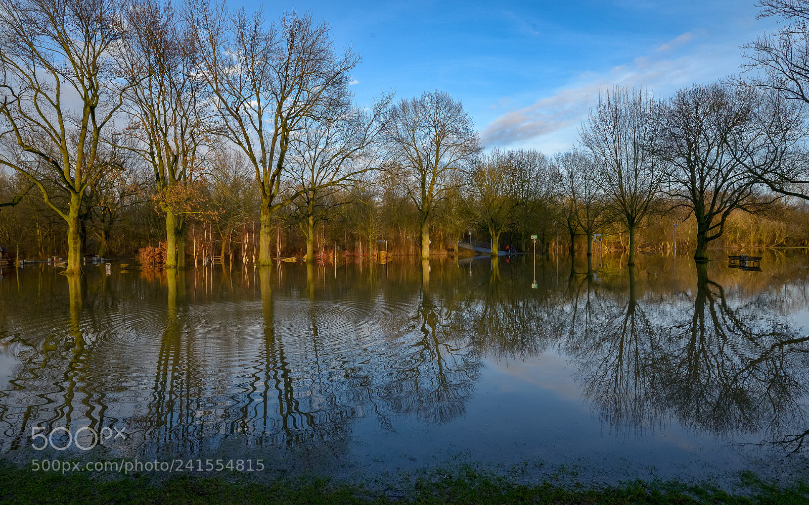 Nikon D800 sample photo. Pegnitz overflow photography