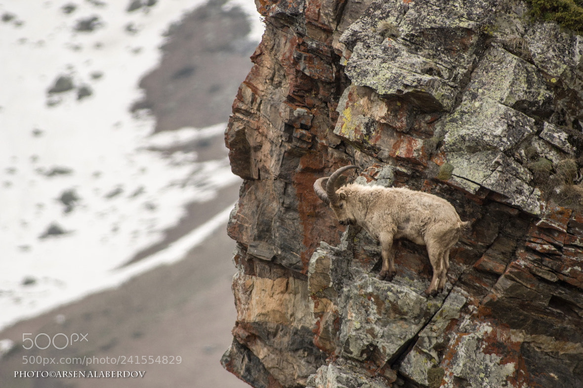 Pentax K-3 sample photo. Master of the rock's photography
