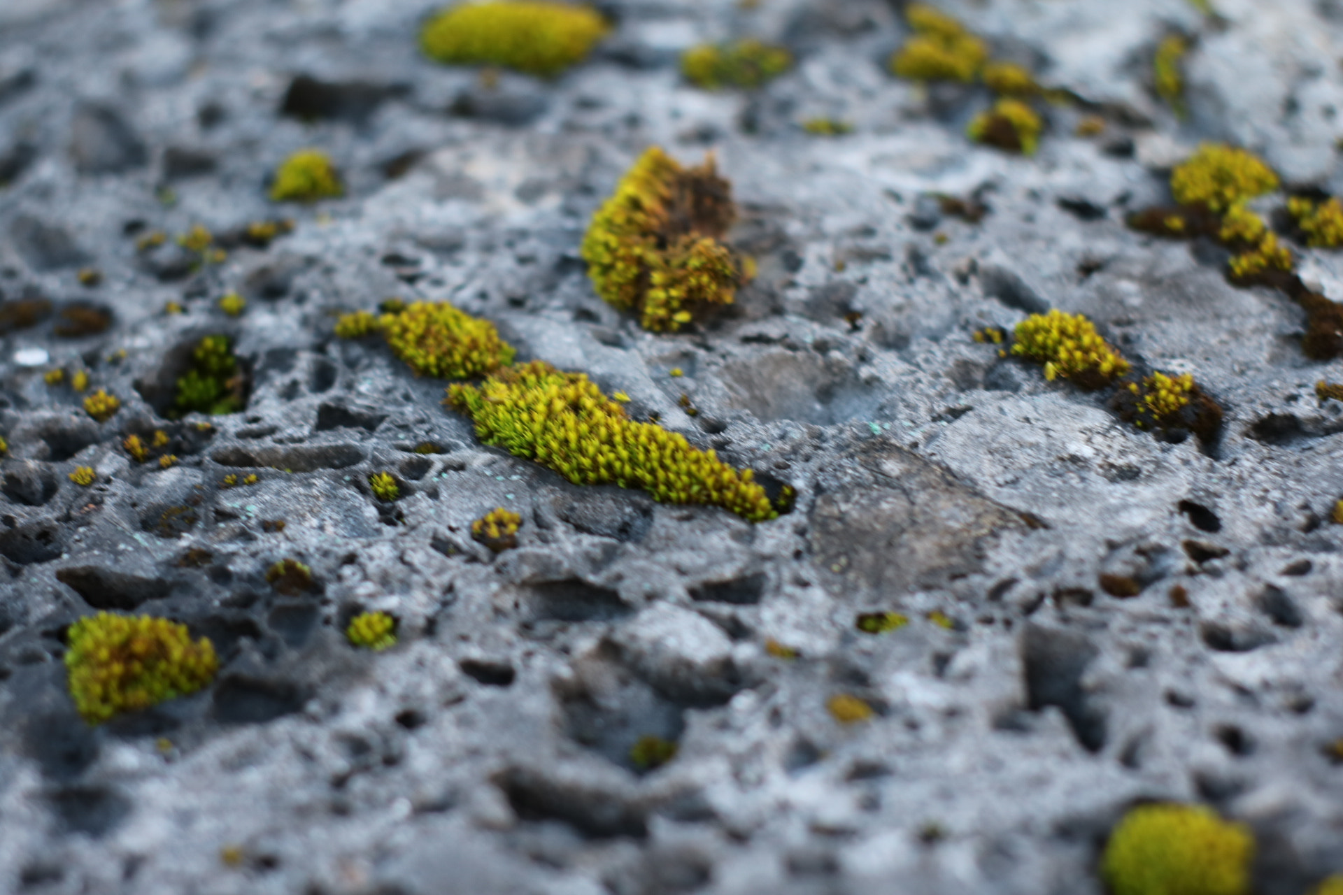 Canon 50mm sample photo. Stone photography