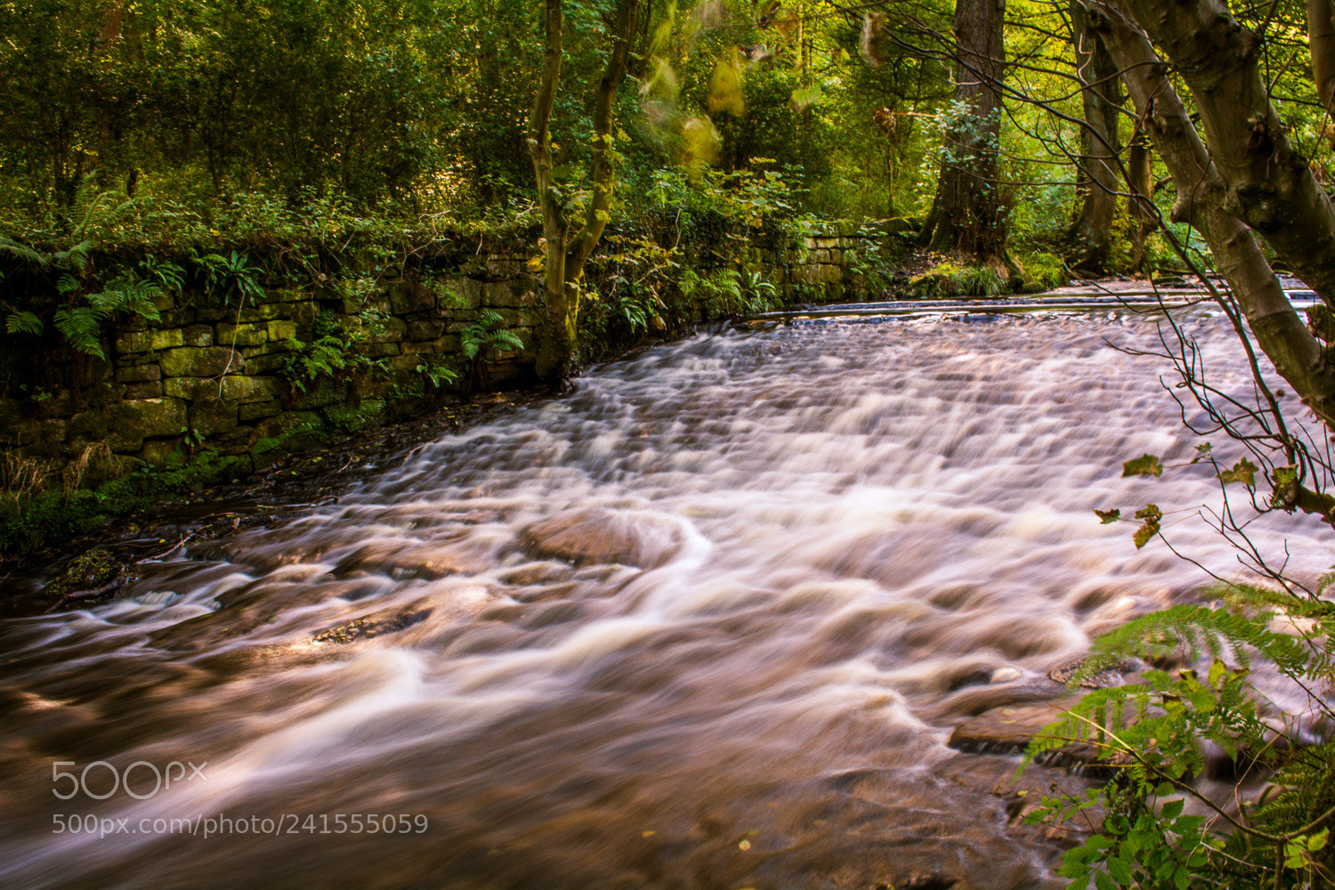 Nikon D7100 sample photo. Rivelin valley, sheffield photography