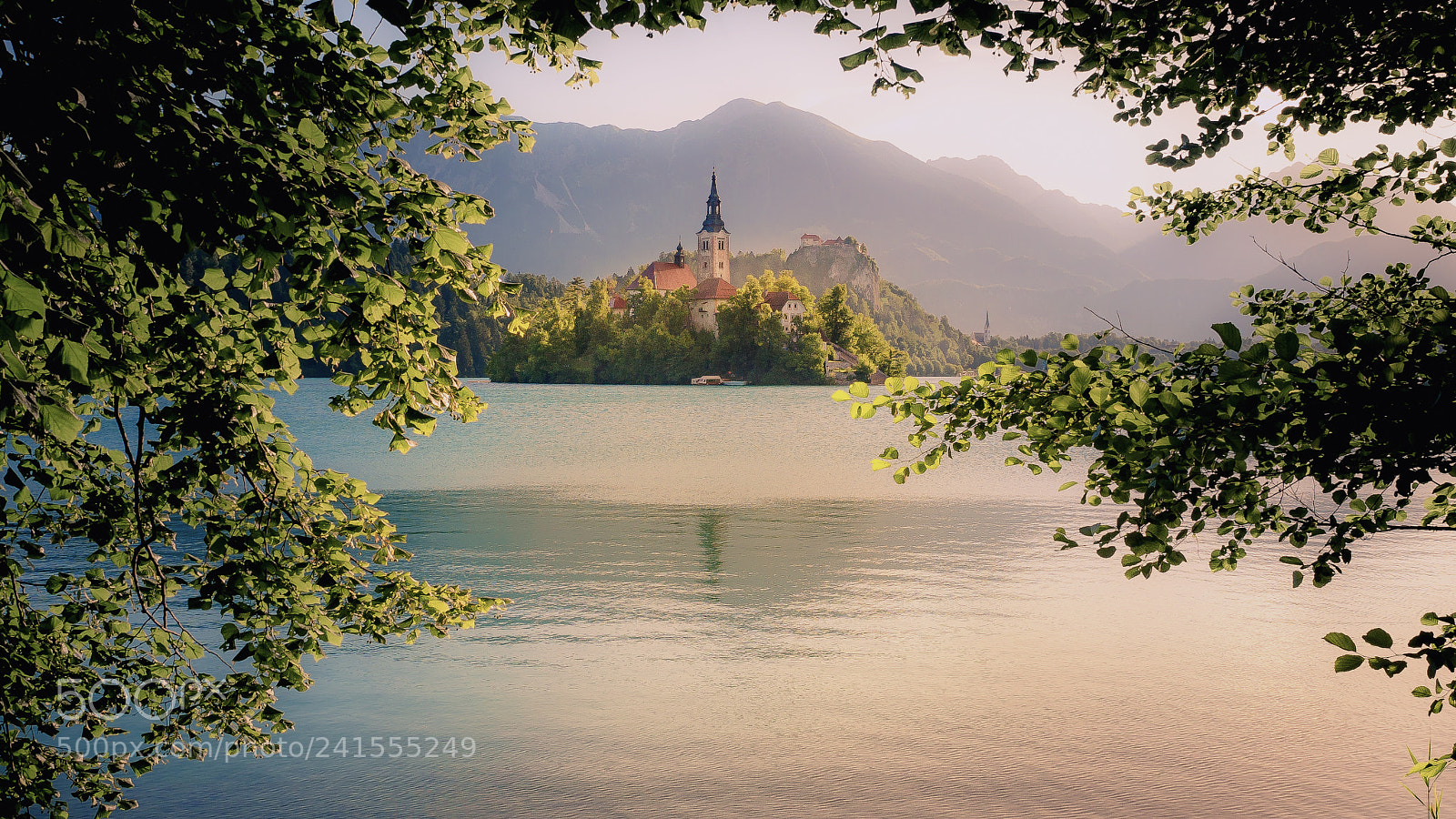 Olympus OM-D E-M5 II sample photo. Bled 3 photography