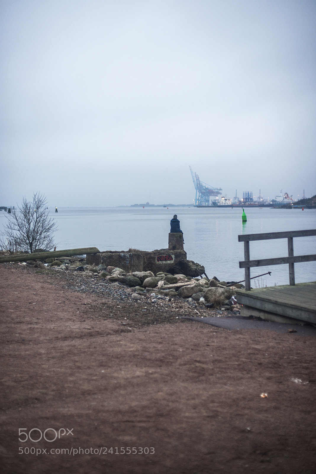 Nikon D600 sample photo. Blue photography