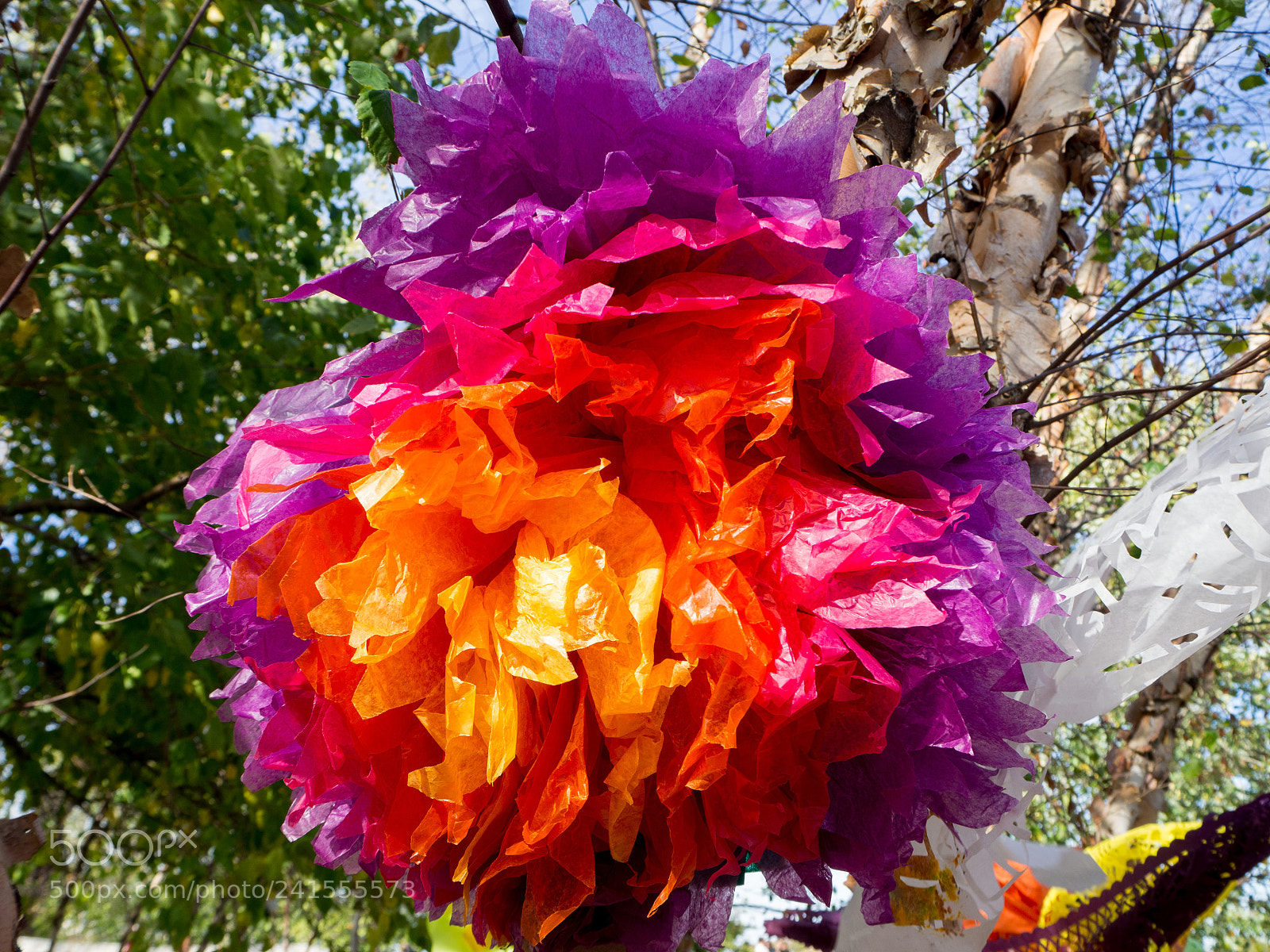Olympus OM-D E-M10 III sample photo. Day of the dead photography