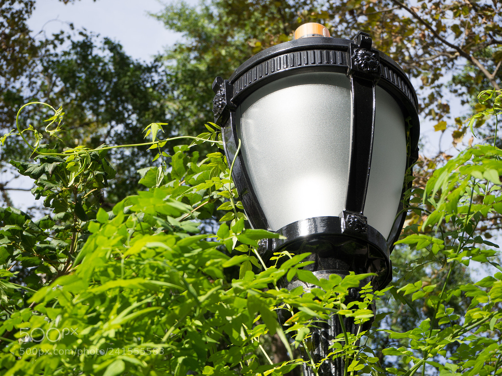 Olympus OM-D E-M10 III sample photo. Lamp in madison square photography