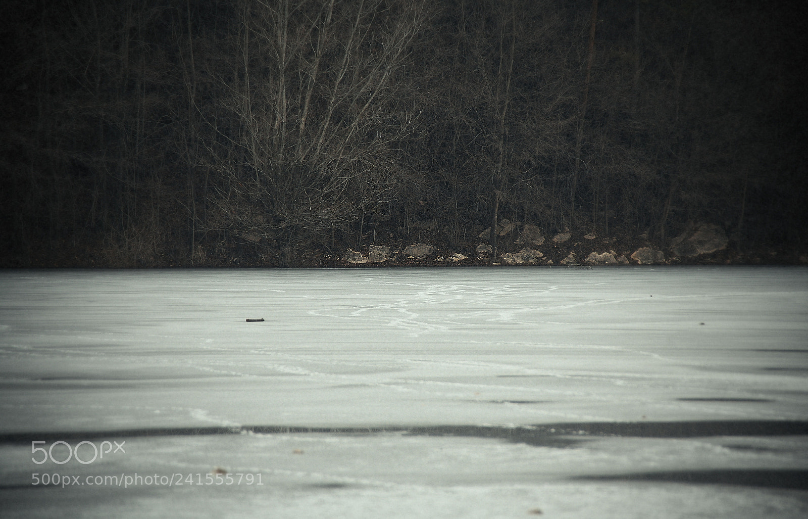 Canon EOS 5D sample photo. *** photography