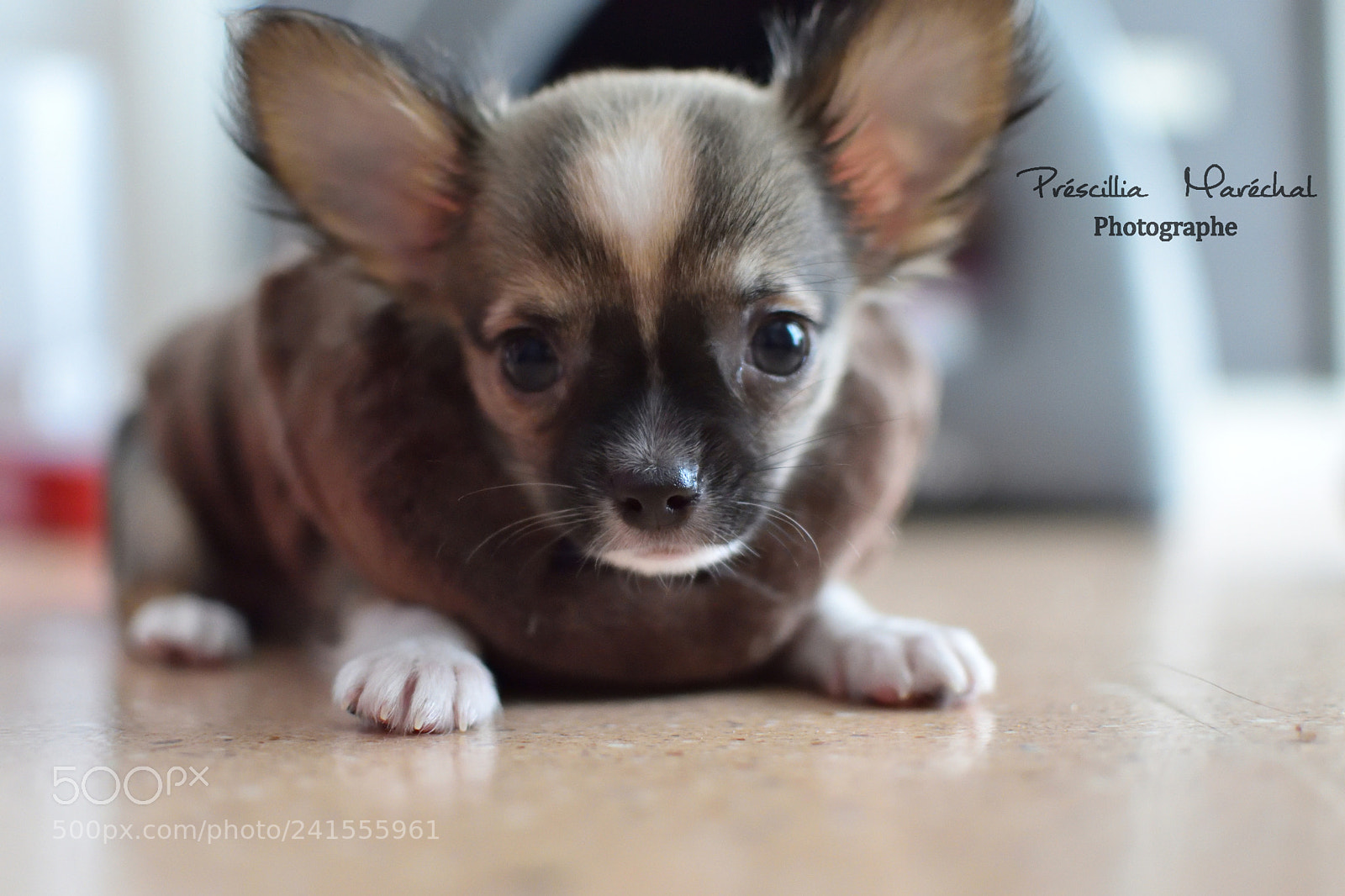 Nikon D5500 sample photo. Nouky dans son pull-over photography