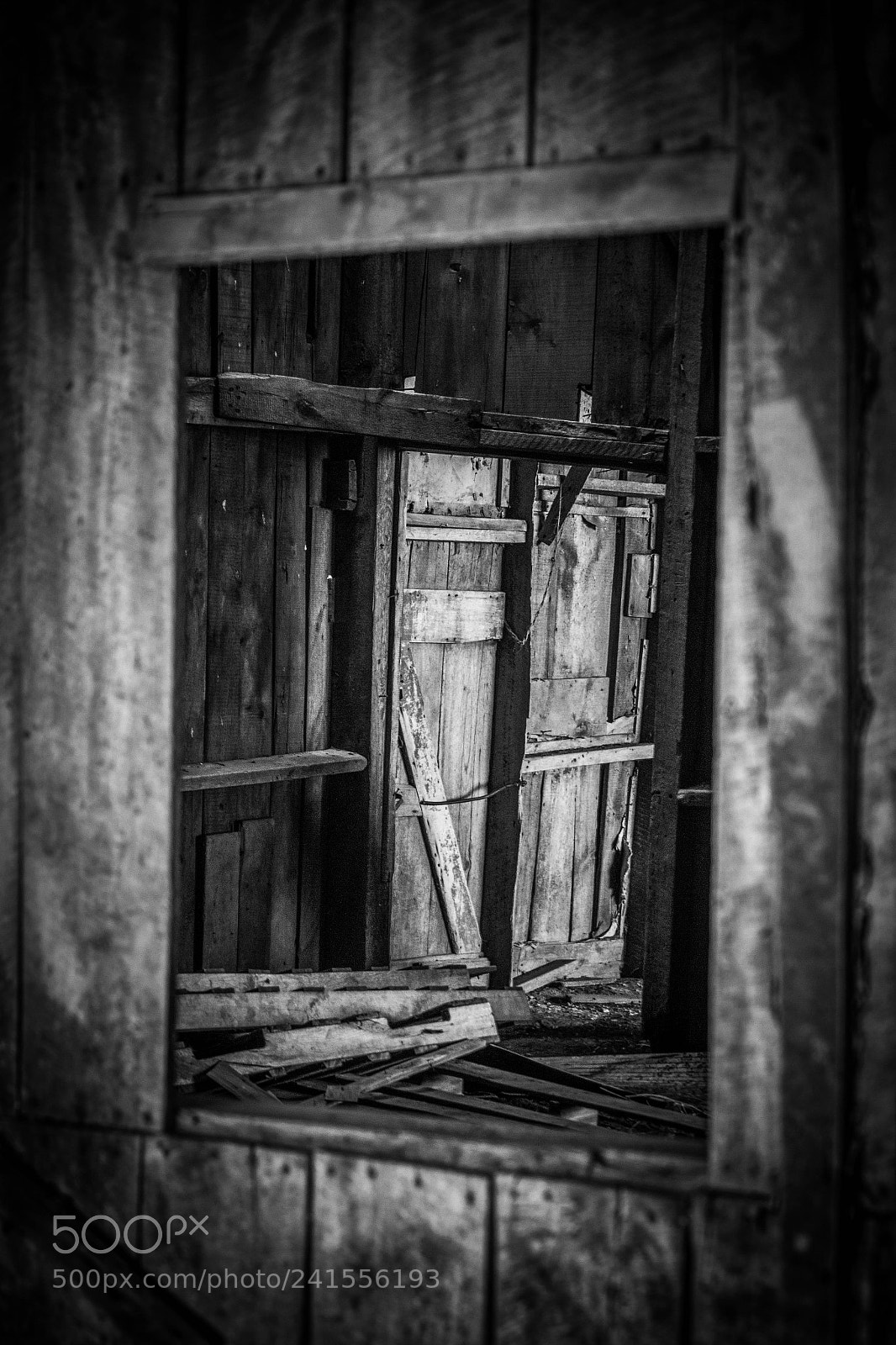 Canon EOS 650D (EOS Rebel T4i / EOS Kiss X6i) sample photo. Thru the window photography