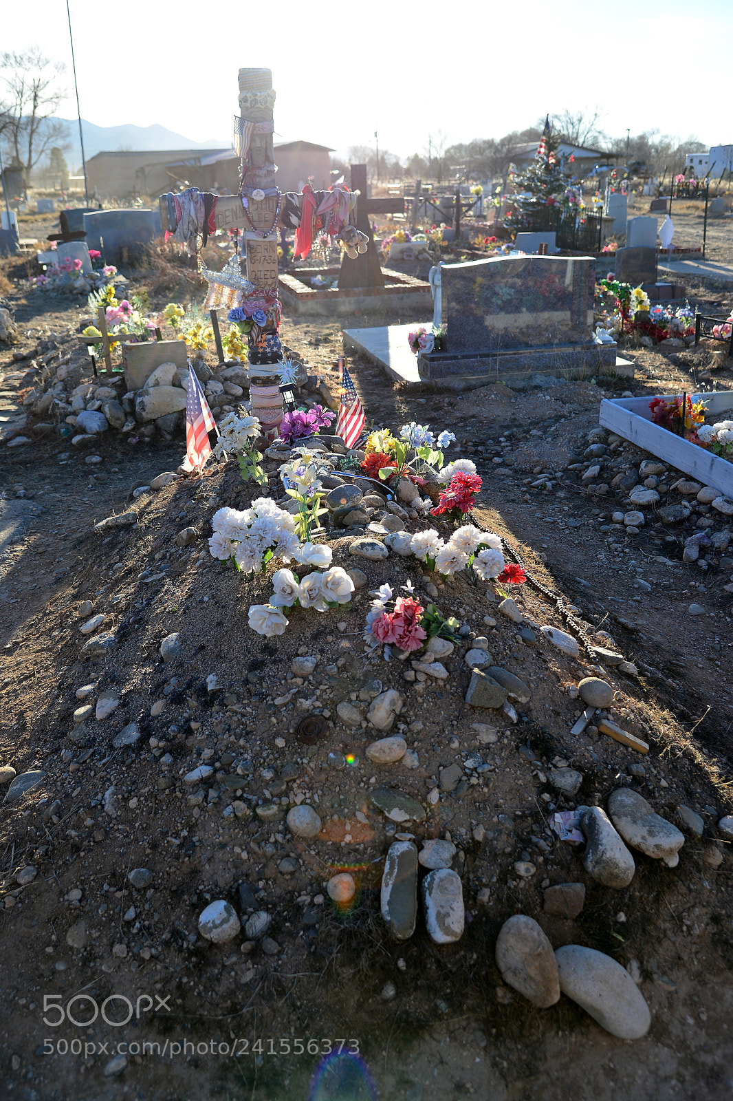 Nikon AF-S Nikkor 24-120mm F4G ED VR sample photo. Dennis hopper's grave in photography